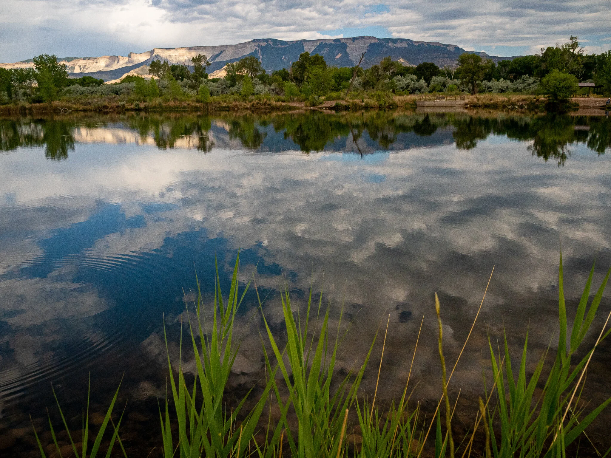 Lion's Pond