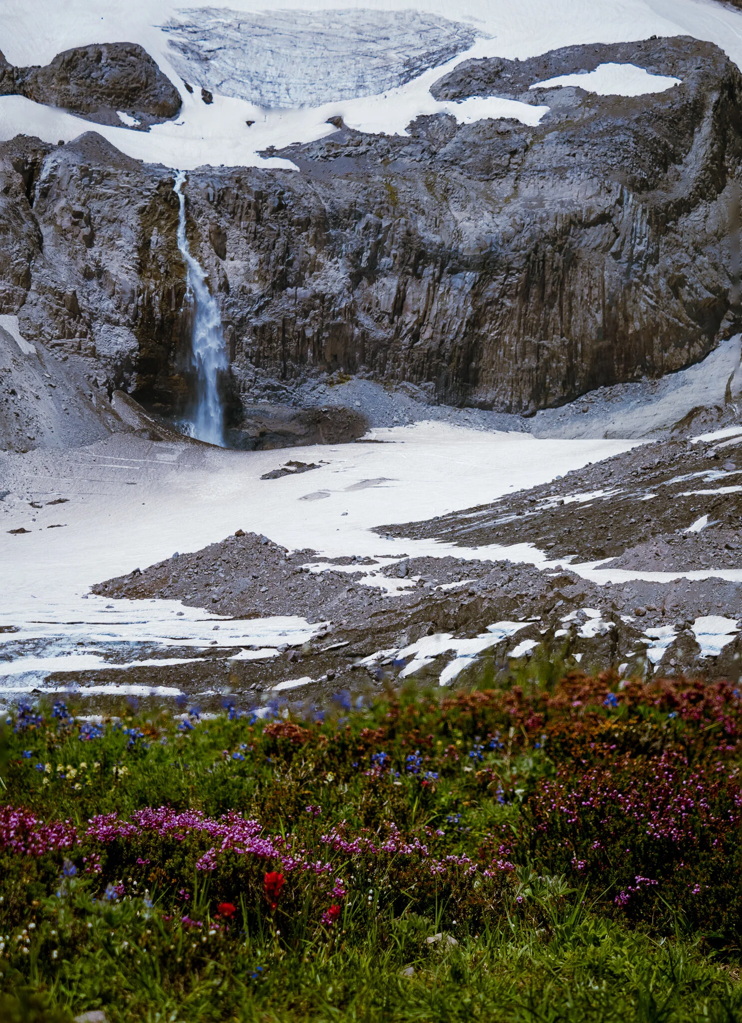 P7185068-Edit.jpg