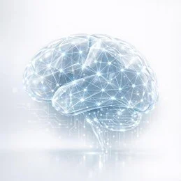 AI Adoption