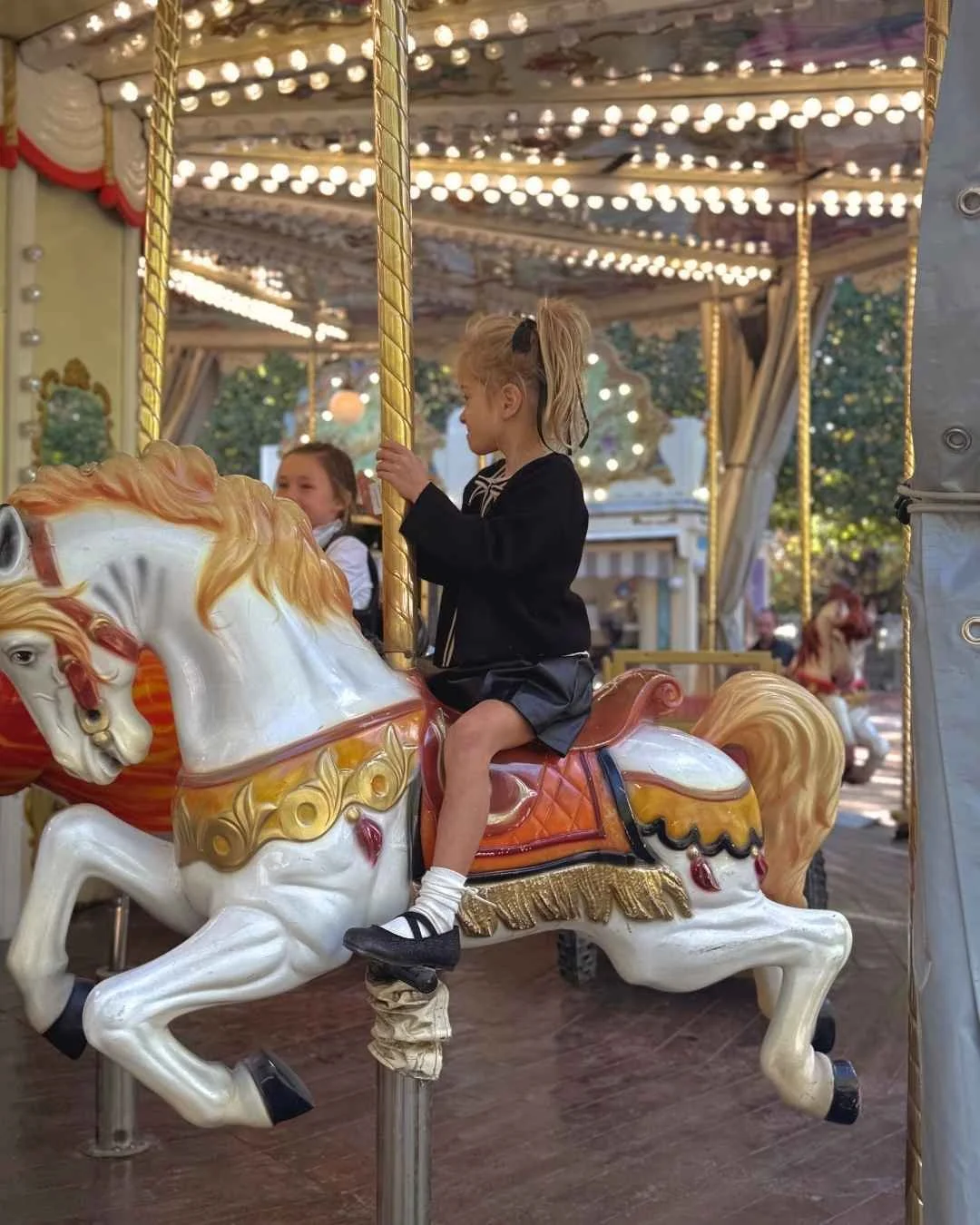 Paris Carousel (20).jpg