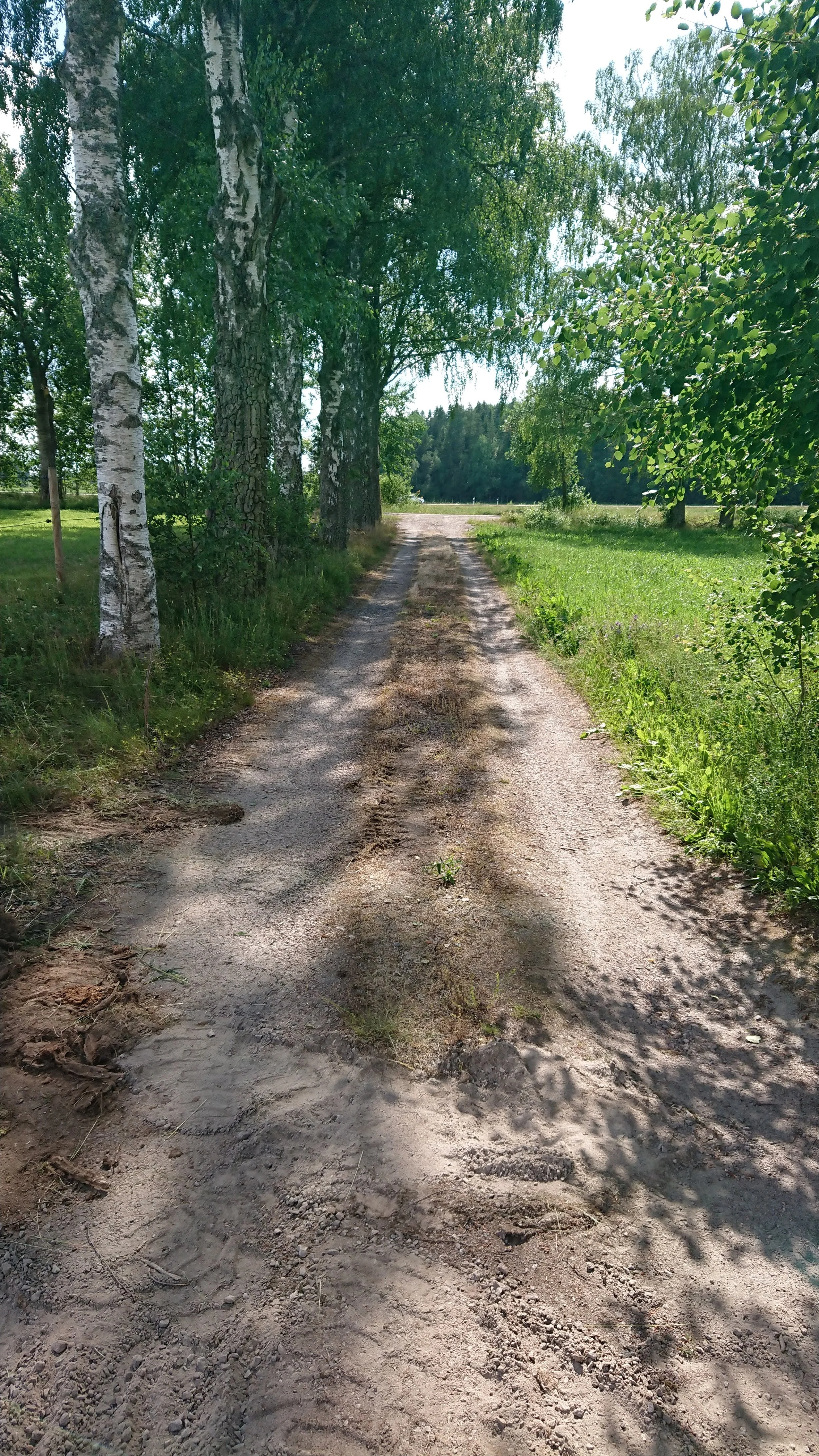 DSC_3425.JPG
