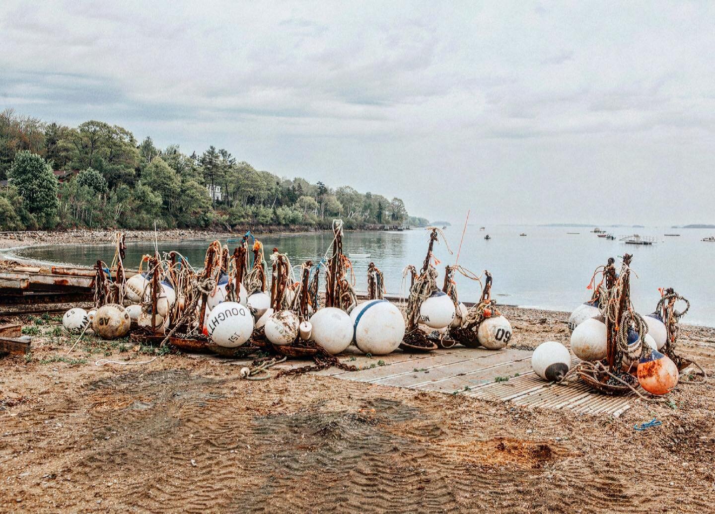 Is this a #buoy graveyard?