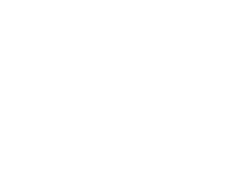 wondertrunk &amp; co.