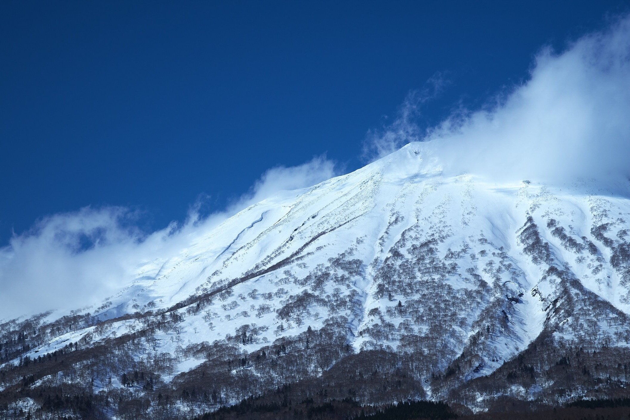 Ski in Hokkaido