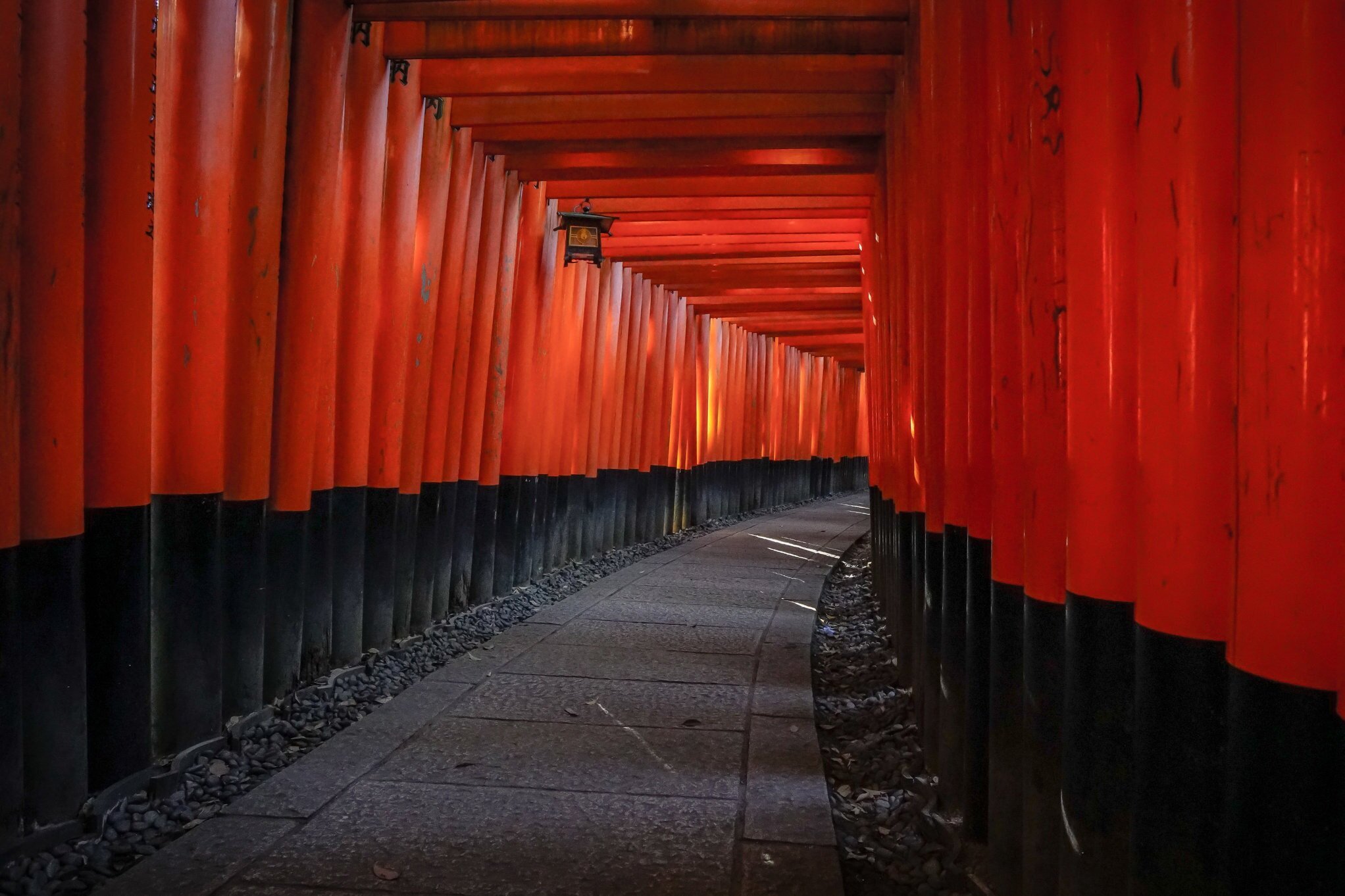 Essential Japan
