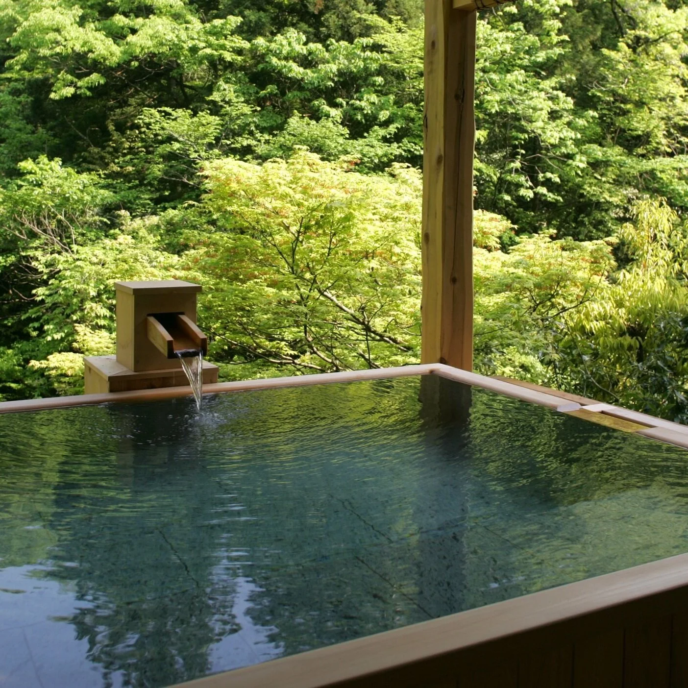 Ryokan Hot Spring Stay