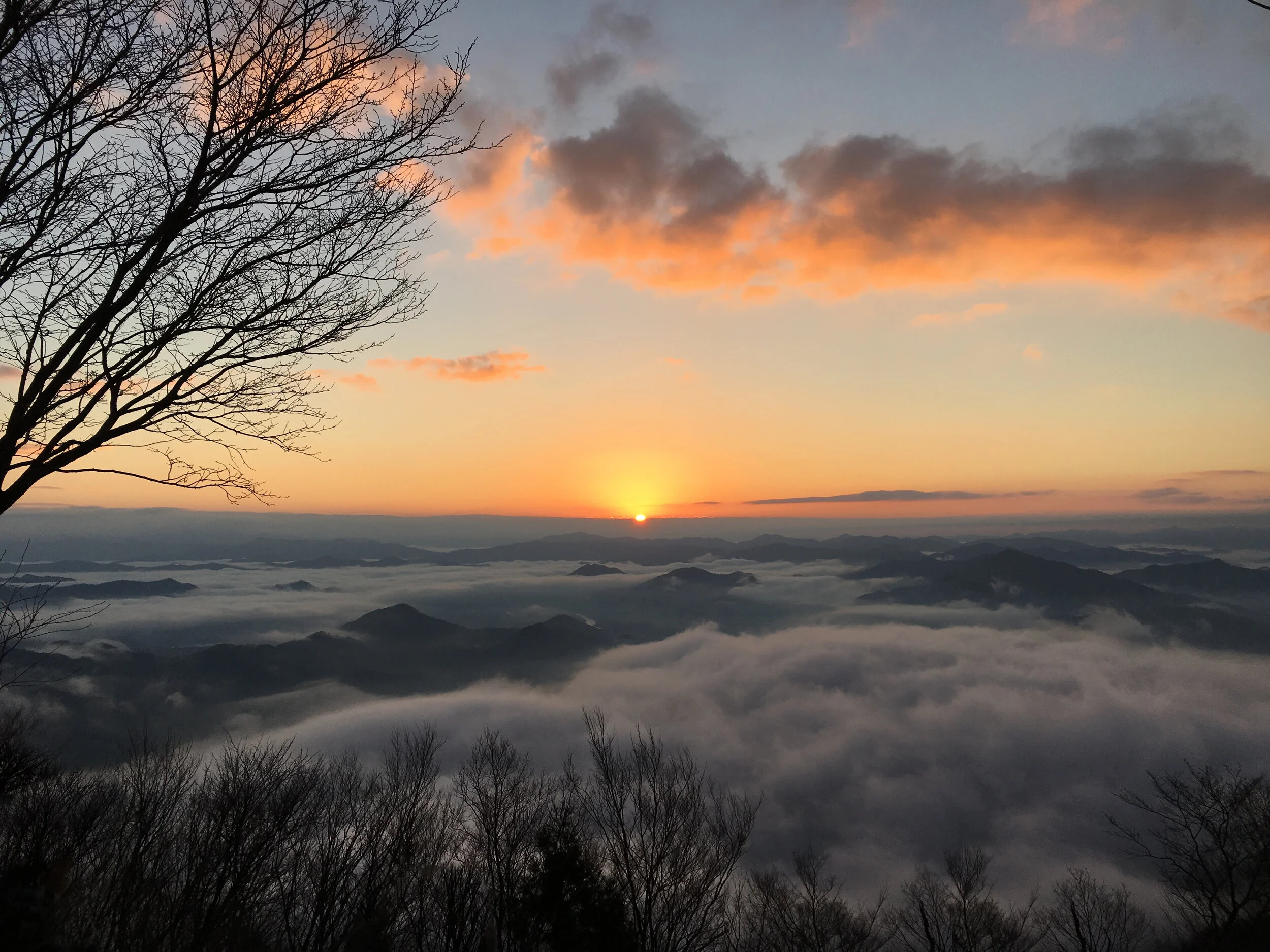 A Complete Guide to New Year's in Japan