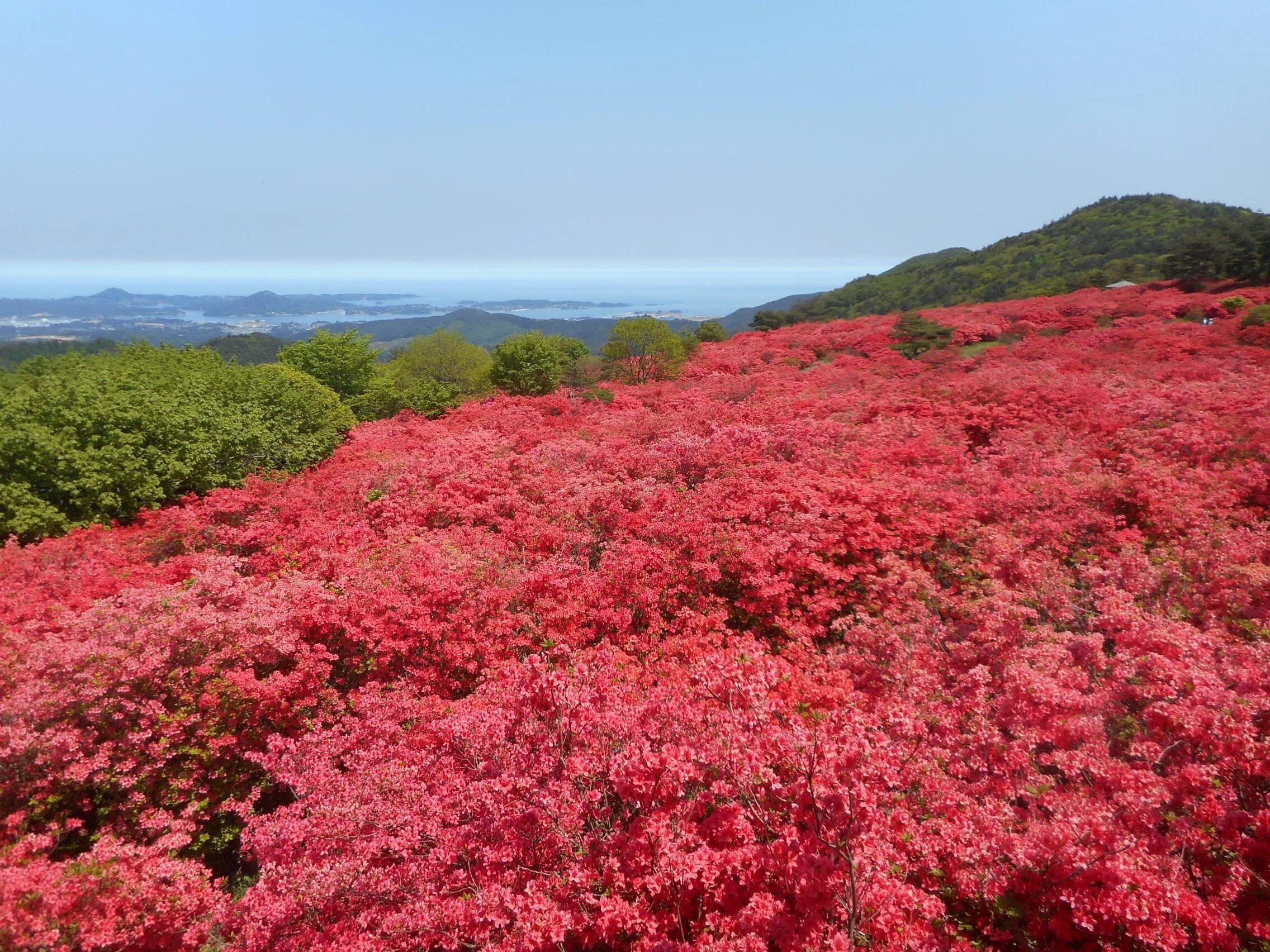 Introducing the Highlights of Japan’s Miyagi Prefecture