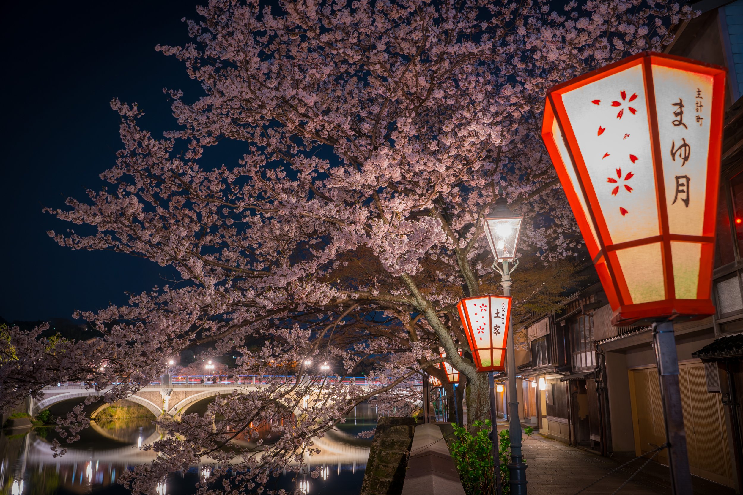 Kanazawa - Kazuemachi Cherry Blossoms.JPG