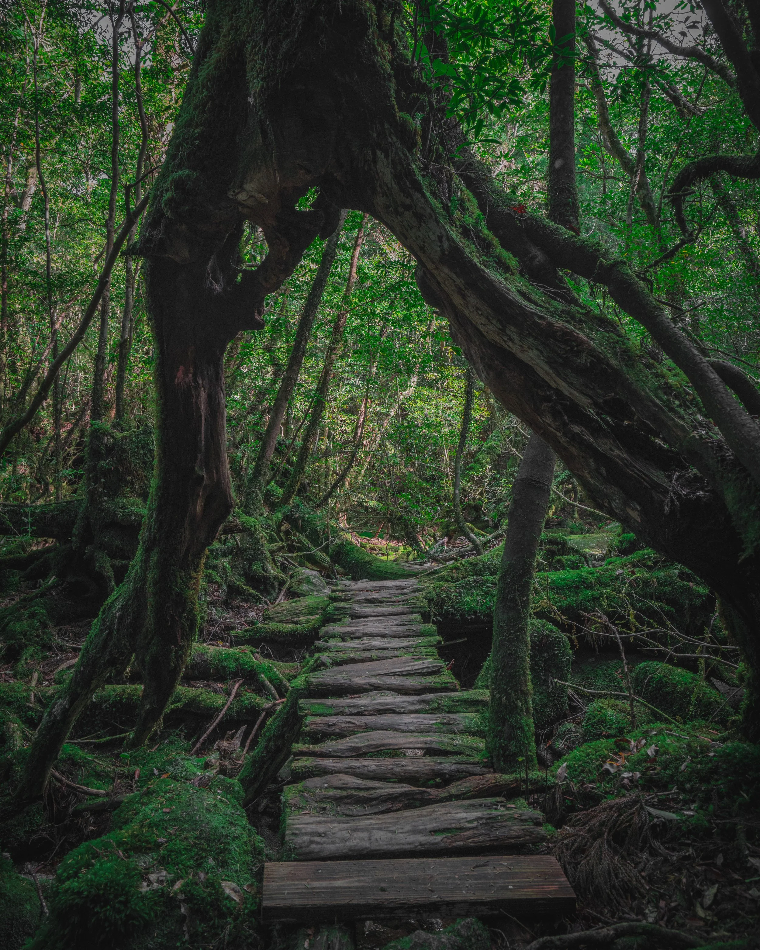 Here’s How You Can Experience Studio Ghibli Magic in Real Life