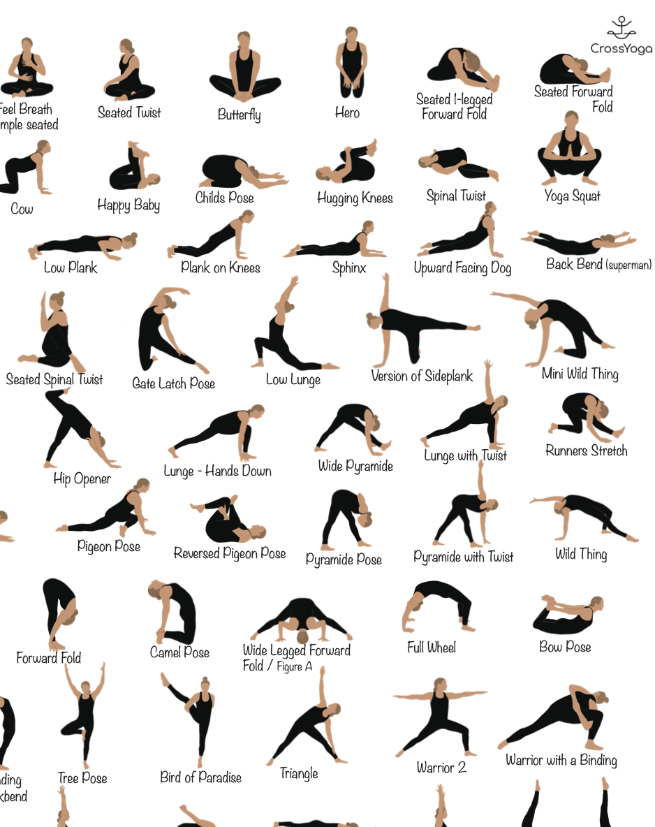 Vector Illustration Of 40 Yoga Asanas With Names Royalty Free SVG,  Cliparts, Vectors, and Stock Illustration. Image 70962211.