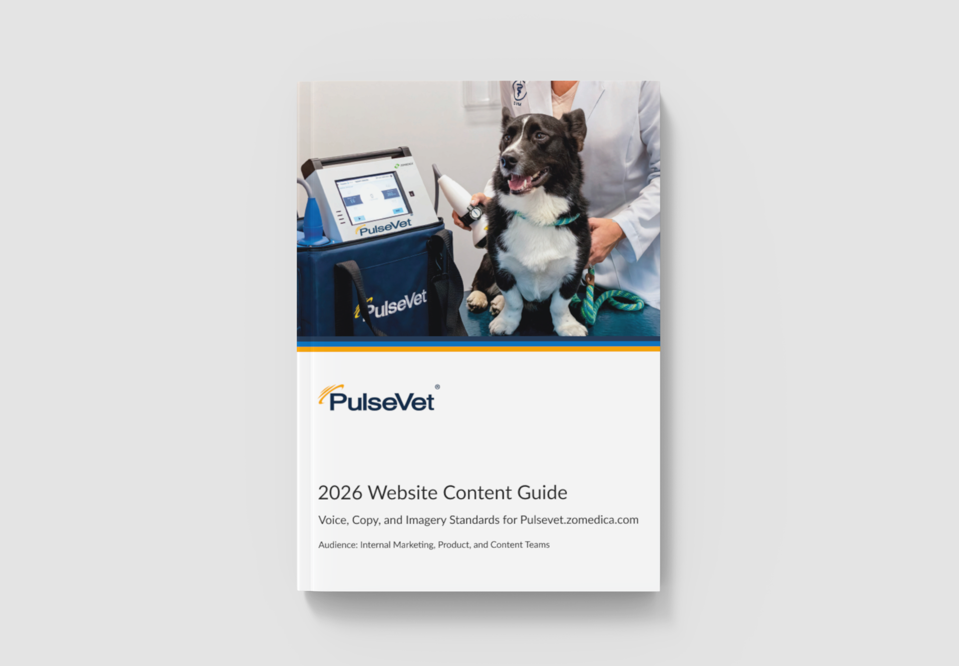 Mockup_Pulsevet.png