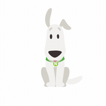 Branded Animations
