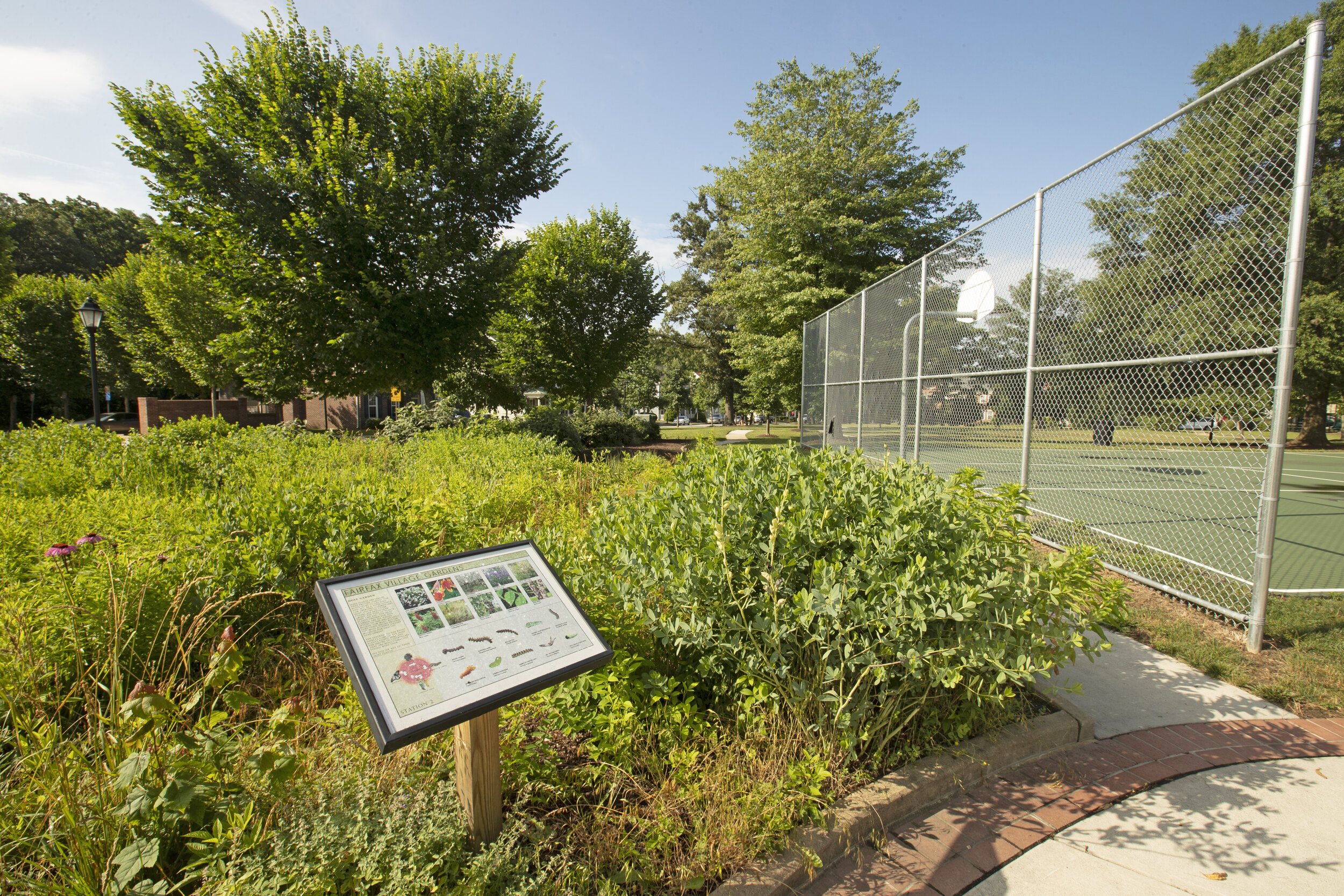 Green space scattered throughout The Villages at Belvoir. 