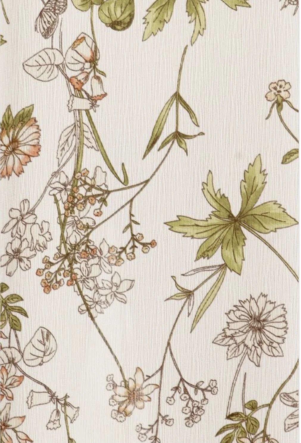 B514C25D-D596-4D52-BE4B-422A53C2DDAC