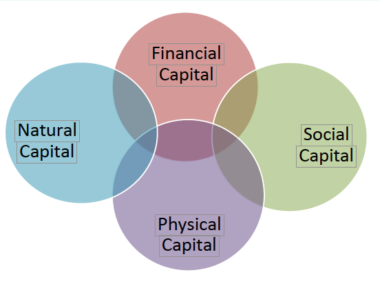Building Economic Resilience 