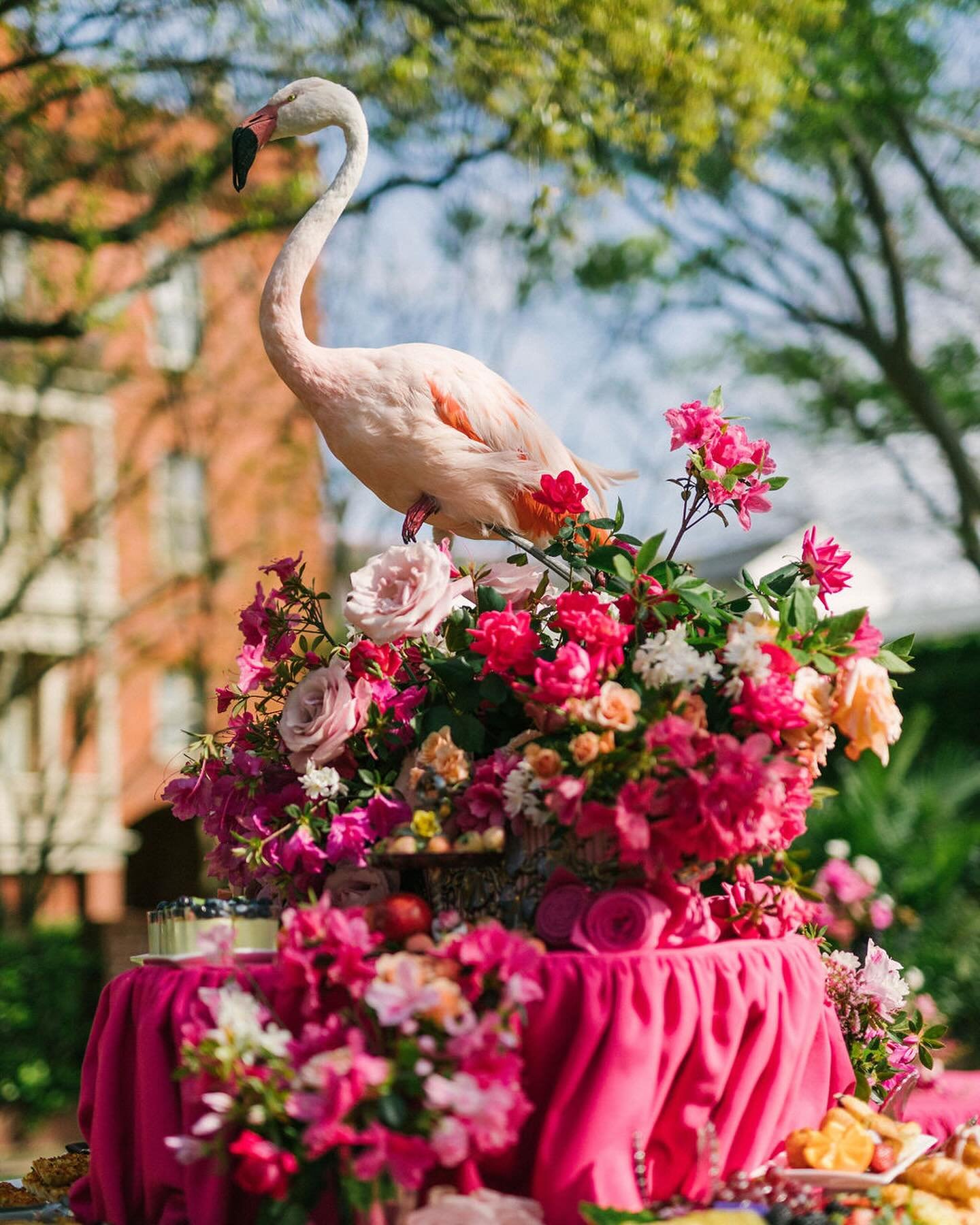 Pretty in 🩷 &hellip; and feathers 🦩
It was the perfect morning for a luncheon on the lawn!!

Design Concept, Antiques, &amp; D&eacute;cor: @alexandrahowardinc @alexandrahowardevents
Photography: @annerhettphotography
Venue &amp; Catering: @wentwort