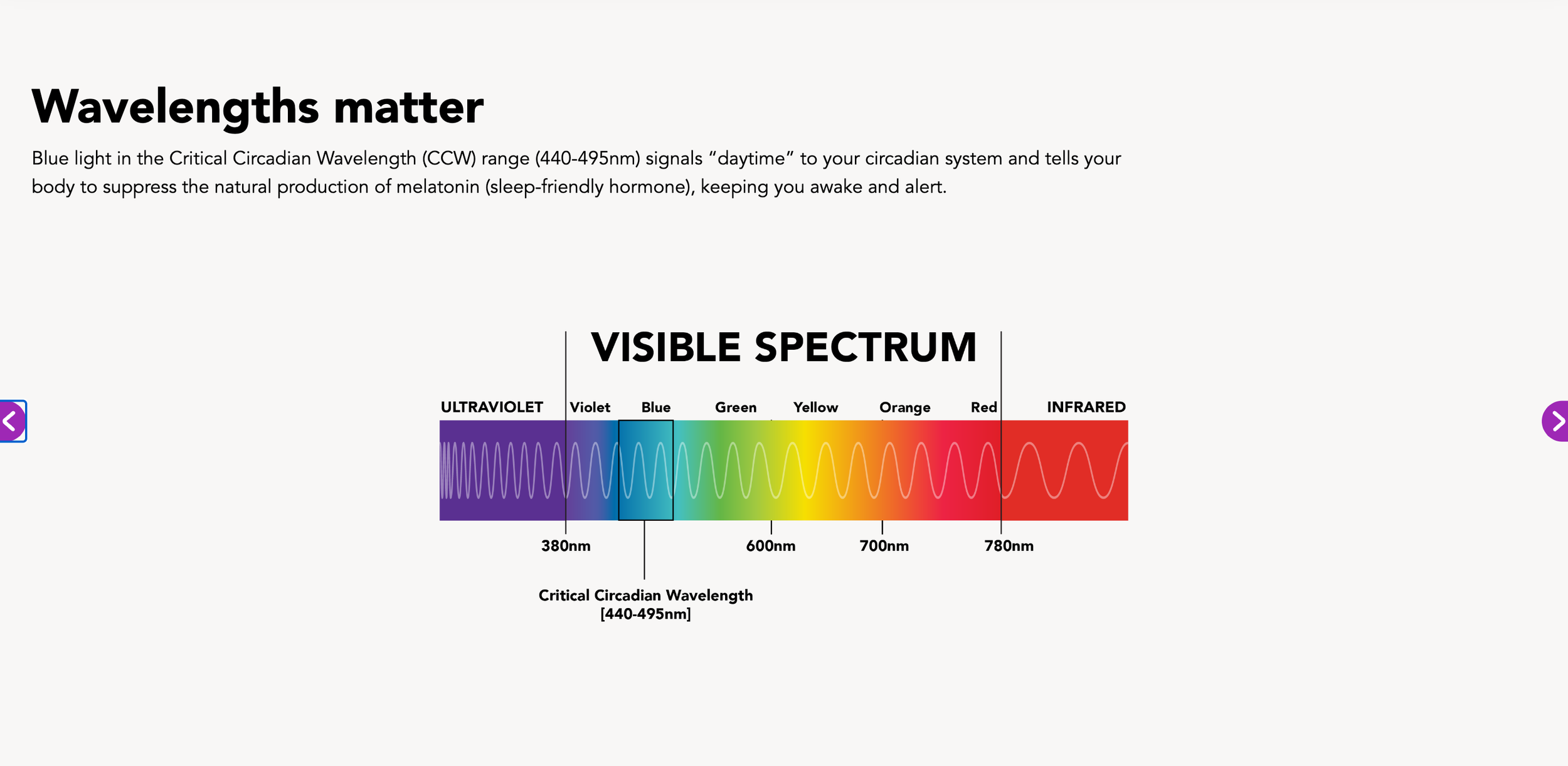 Screenshot 2023-09-13 at 4.52.03 PM.png
