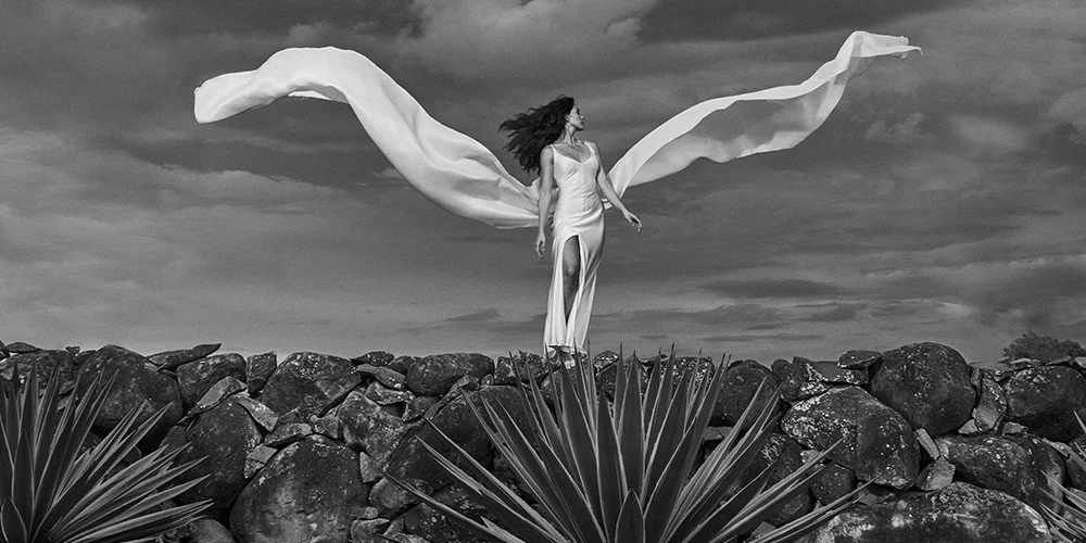 Casa Del Sol Tequila