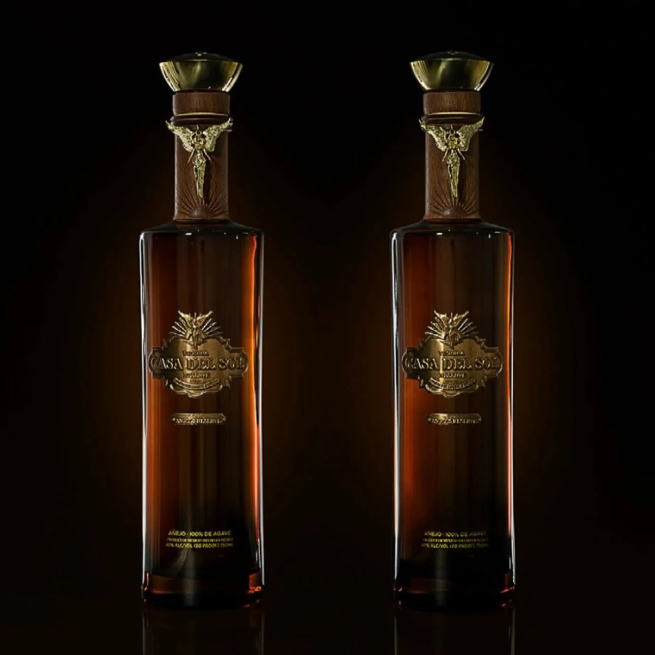 casadelsoltequila - CzhFqjyPQCB.jpg