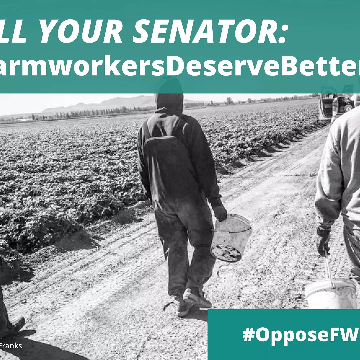 The Farm Workforce Modernization Act expands an already exploitative H-2A program without necessary oversight. Stand with farmworkers opposing the bill and sign and share our petition today. http://bit.ly/OpposeFWMA2021
#OpposeFWMA