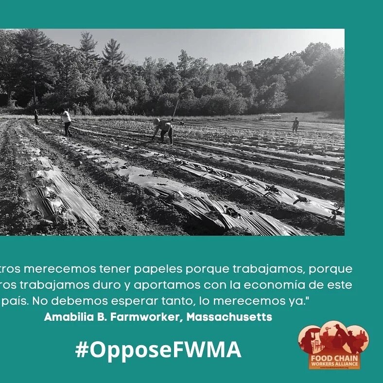 Farmworkers need stronger rights and protections. But the Farm Workforce Modernization Act will expose agricultural workers to further exploitation while making it harder to organize. Sign + Share http://bit.ly/OpposeFWMA2021
#OpposeFWMA&nbsp; #Farmw