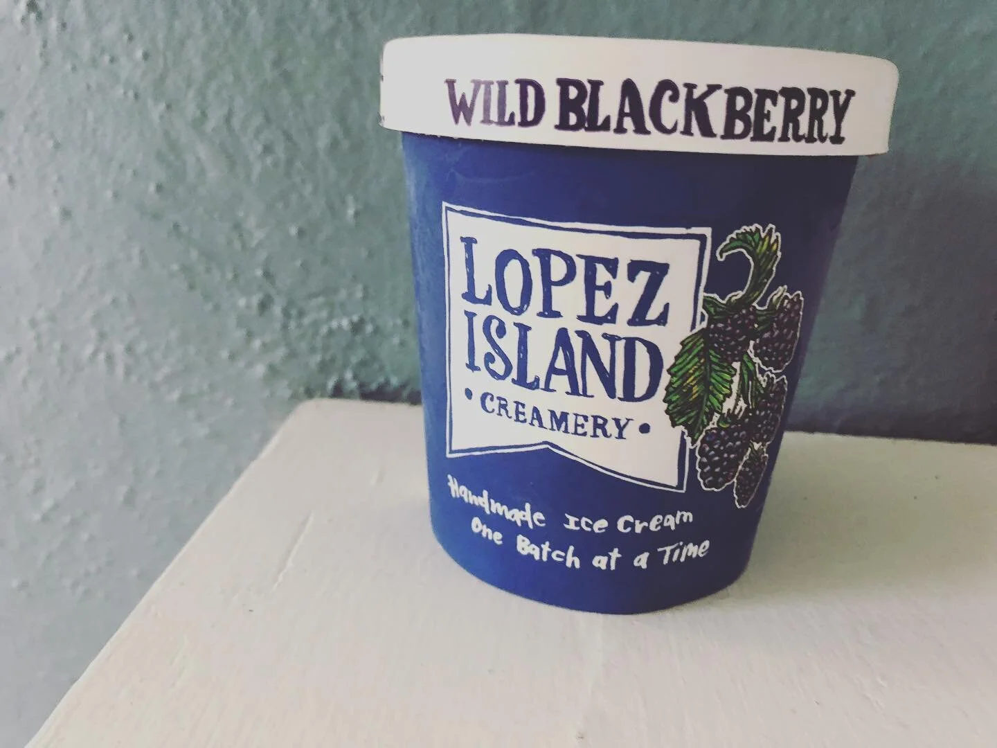 It&rsquo;s Blackberry season. This means finding them in nature, in the fridge and in the freezer 😋