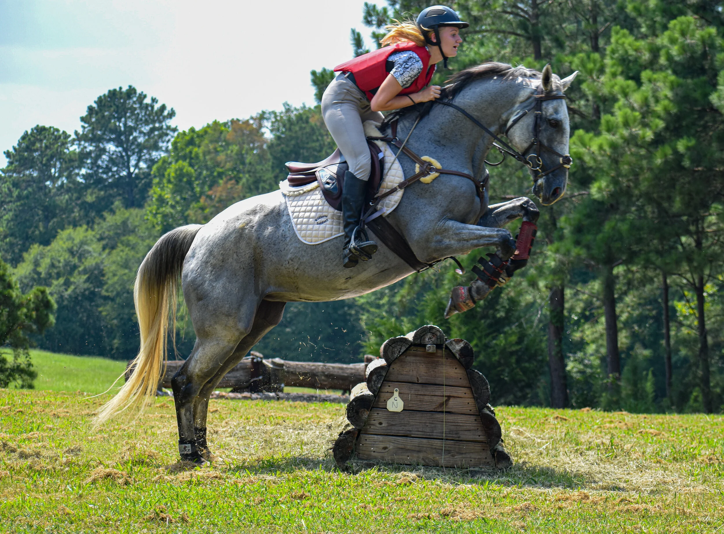 Equestrian Team — Celestial Riding Academy