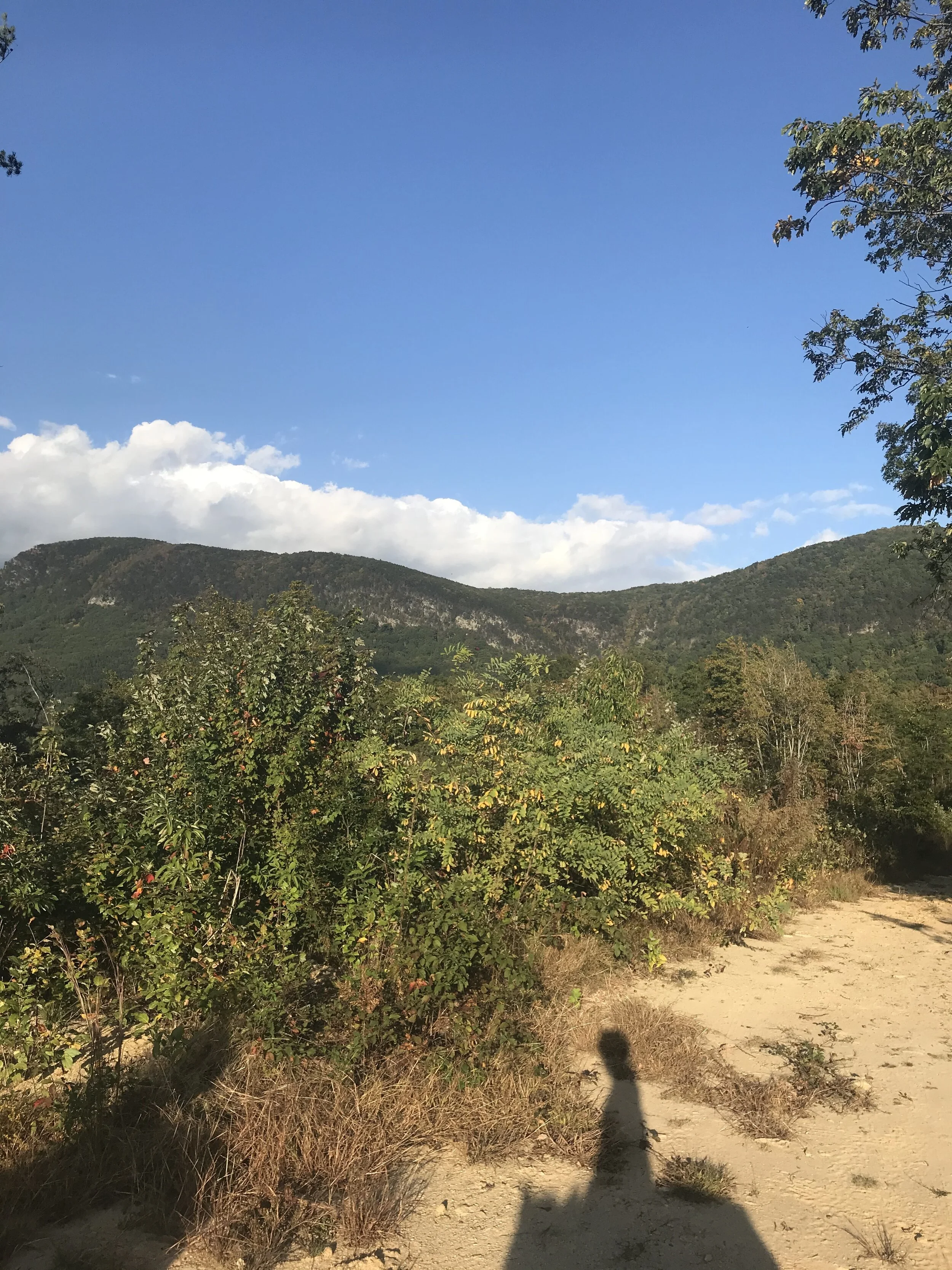 Blog — Celestial Riding Academy