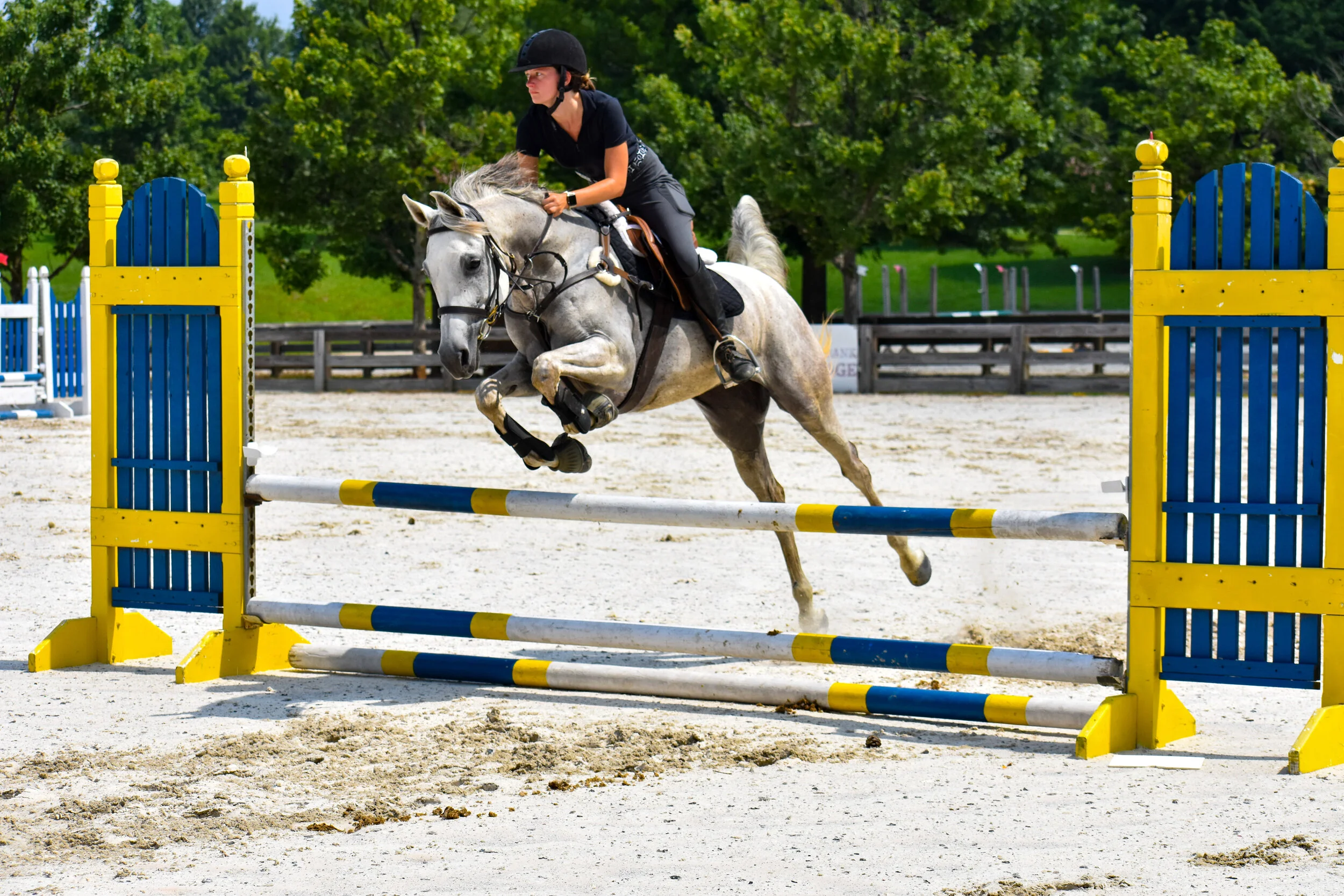 Summer Camps — Celestial Riding Academy