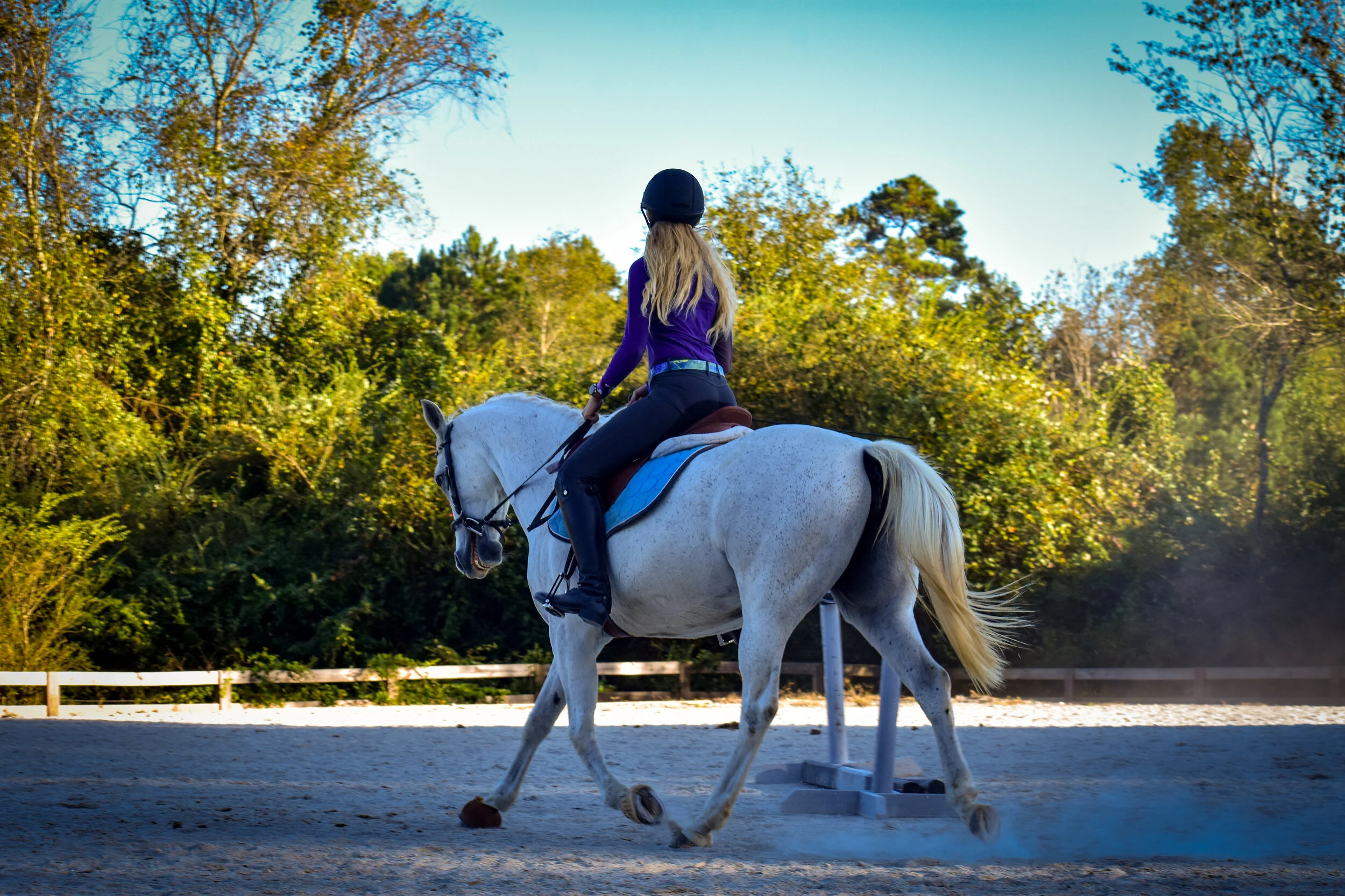 Gallery — Celestial Riding Academy