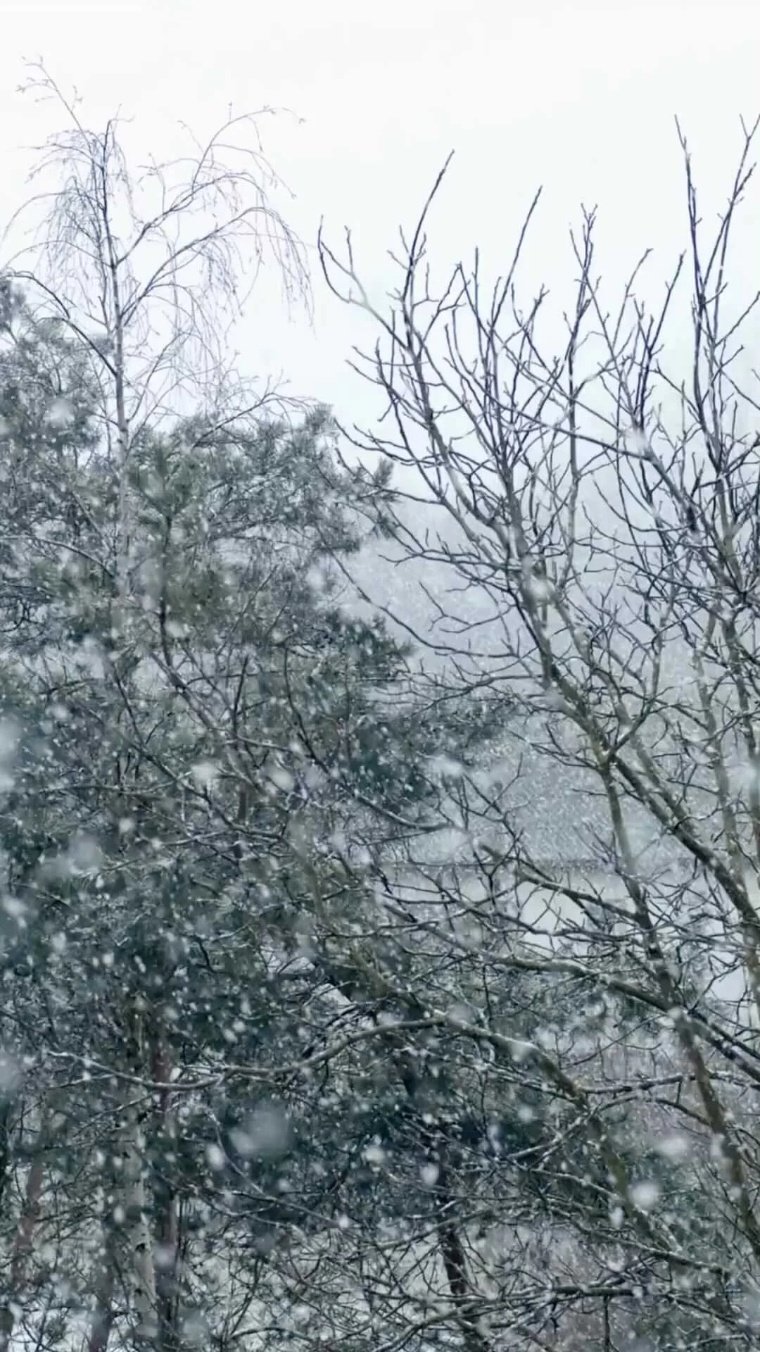 Chilton Mill Brewing