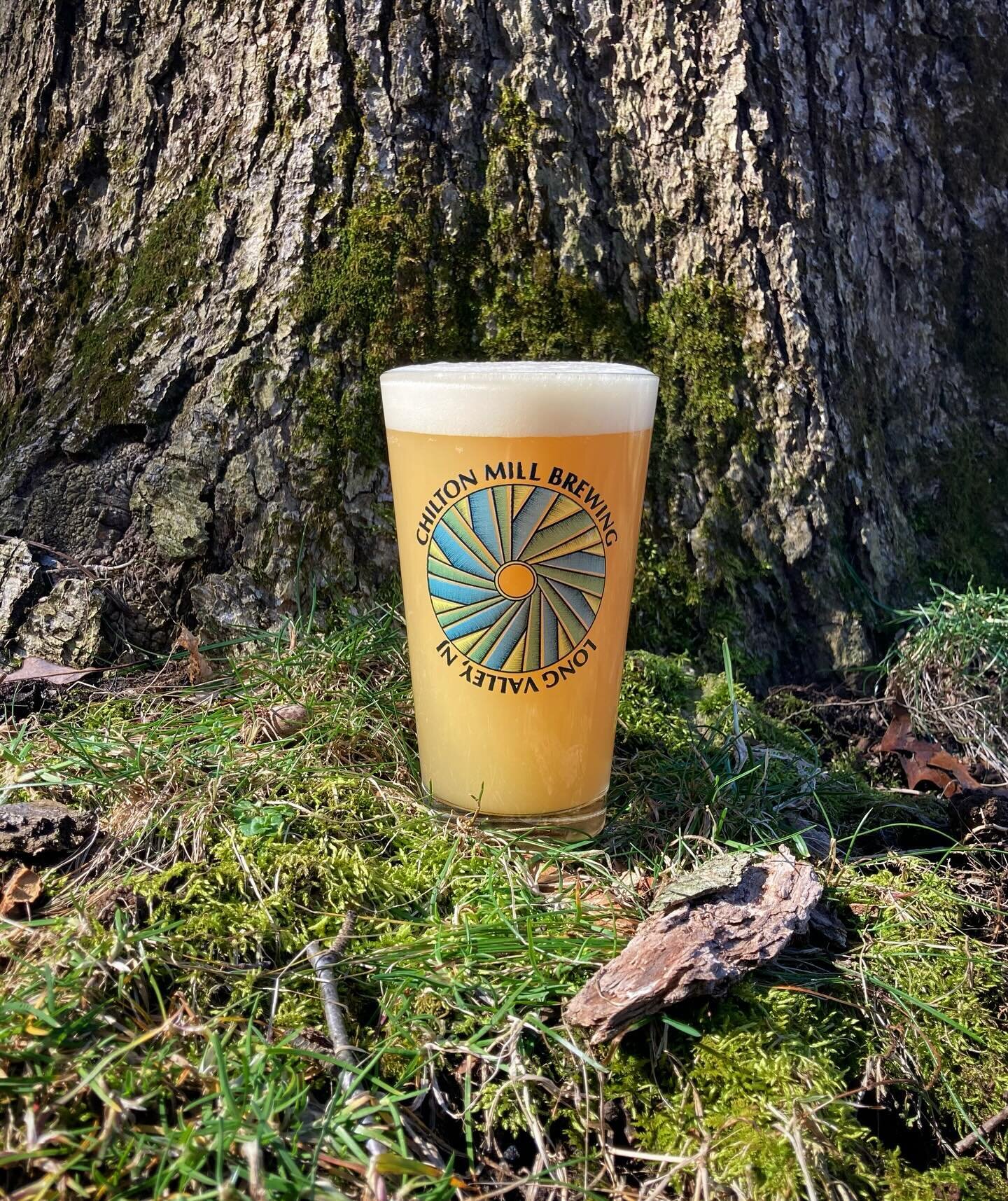 New Beer On Tap!

Throwback- IPA: 7.3% ABV 

Kick back and ease into layers of tropically fruity flavors, alongside pleasantly pungent aromas of fresh spruce and mango. Thanks to a classic combo of Simcoe, Mosaic &amp; Citra.

Sometimes you just can&