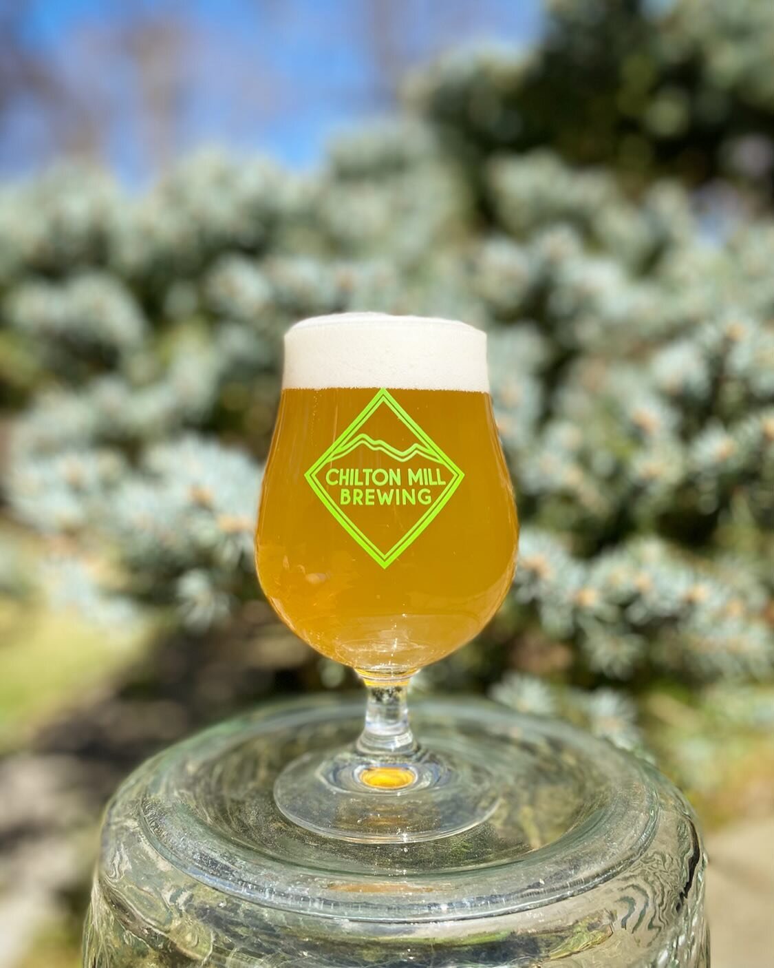 New Beer on Tap!!!

Serene Green - West Coast IPA: 7% ABV 

Columbus, Chinook, Simcoe, Cryo-Simcoe and Citra Hash boast a firm balanced bitterness that lends way to dank sour diesel aromatics alongside hints of resin, fresh cut pine and a kiss of cit