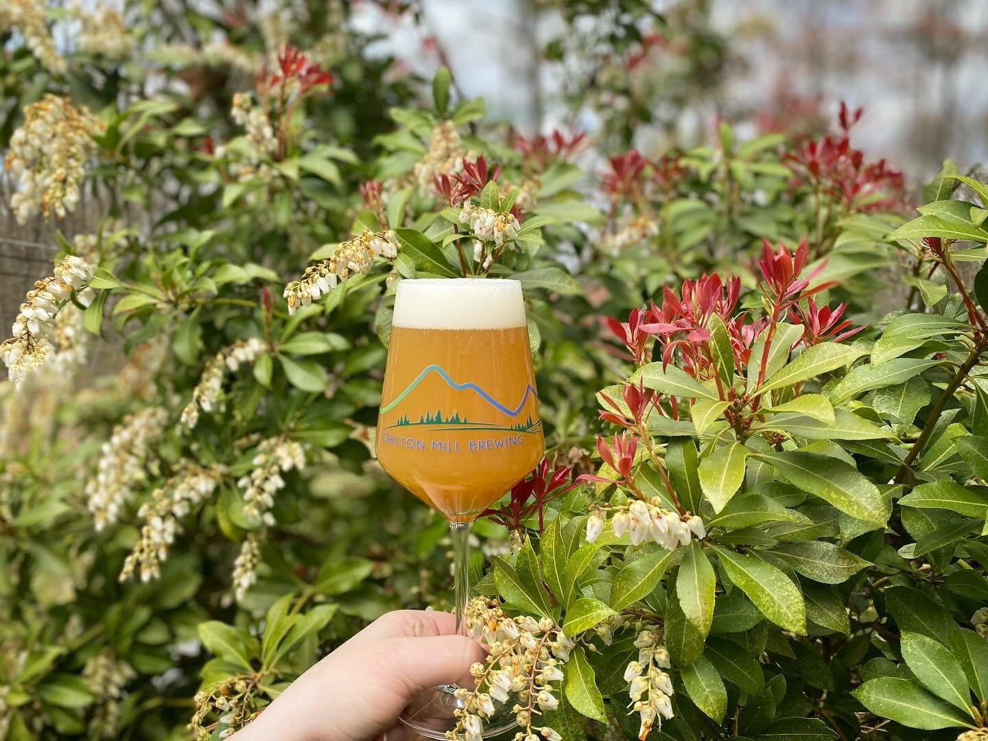 Another New Brew for you! 

Groove Juice - IPA: 7.2% ABV 

Exploding with luscious flavors of tropical fruits, fresh crushed gooseberries and white peach, thanks to ample amounts of Nectaron, Nelson Sauvin and Citra hops!

See ya soon!