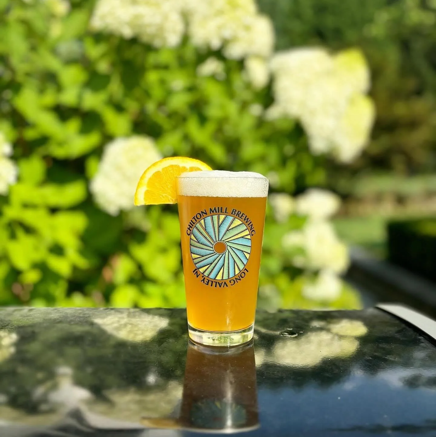 This Summer crusher is back on tap today! 

Rooster - American Wheat: 5.6% ABV 🌾 

A beautiful blend of American 2-Row and white wheat provides a smooth body and subtle sweetness, complimented by refreshingly citrusy undertones. Crafted in collabora