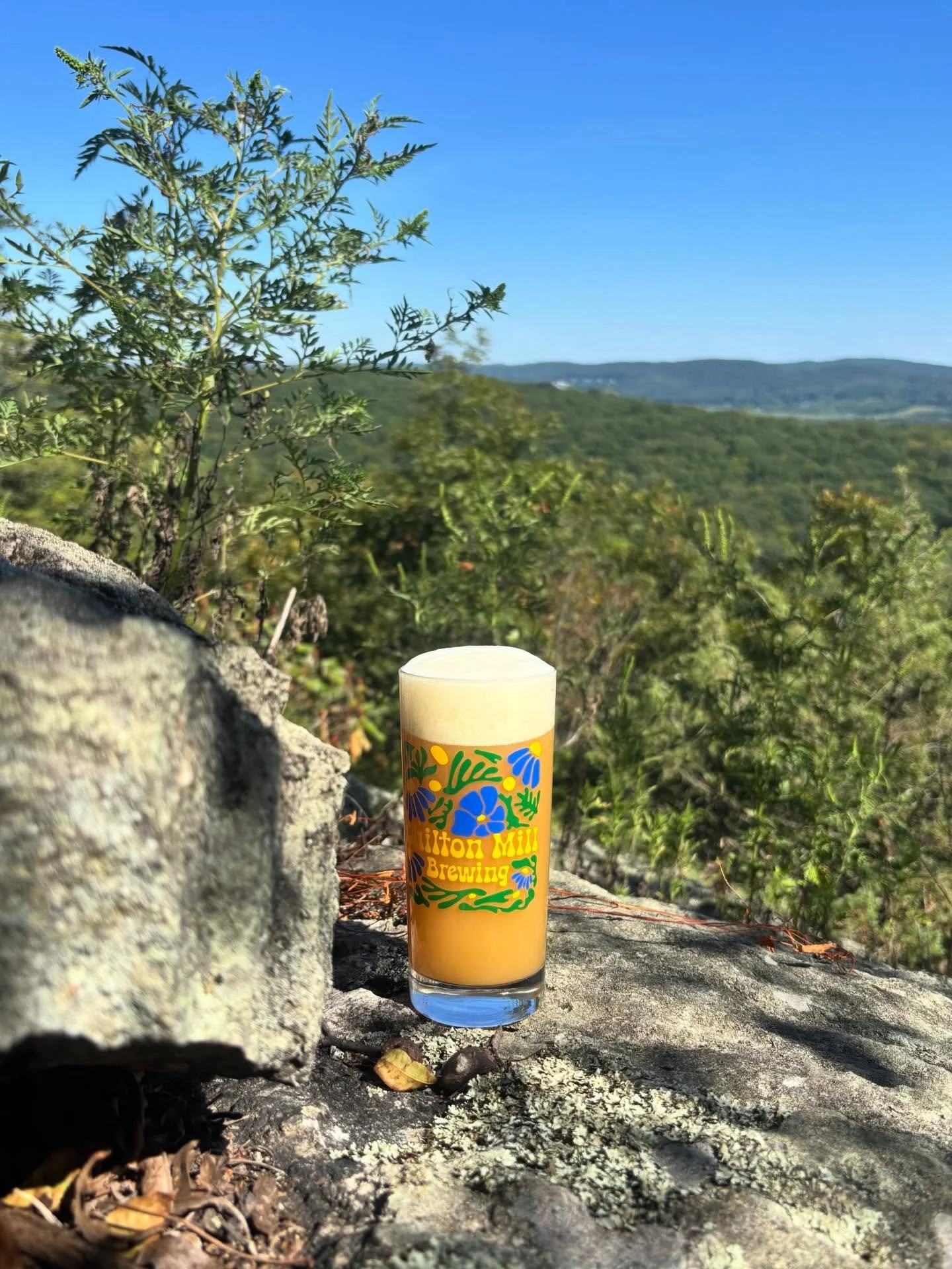 New Beer On Tap!!!

Couples Retreat - IIIPA: 9% 

Citra and Galaxy hops take a well-deserved getaway, discovering their perfect harmony in this intensely hoppy Imperial IPA. Expect smooth bitterness layered with big juicy notes of passion fruit, tang