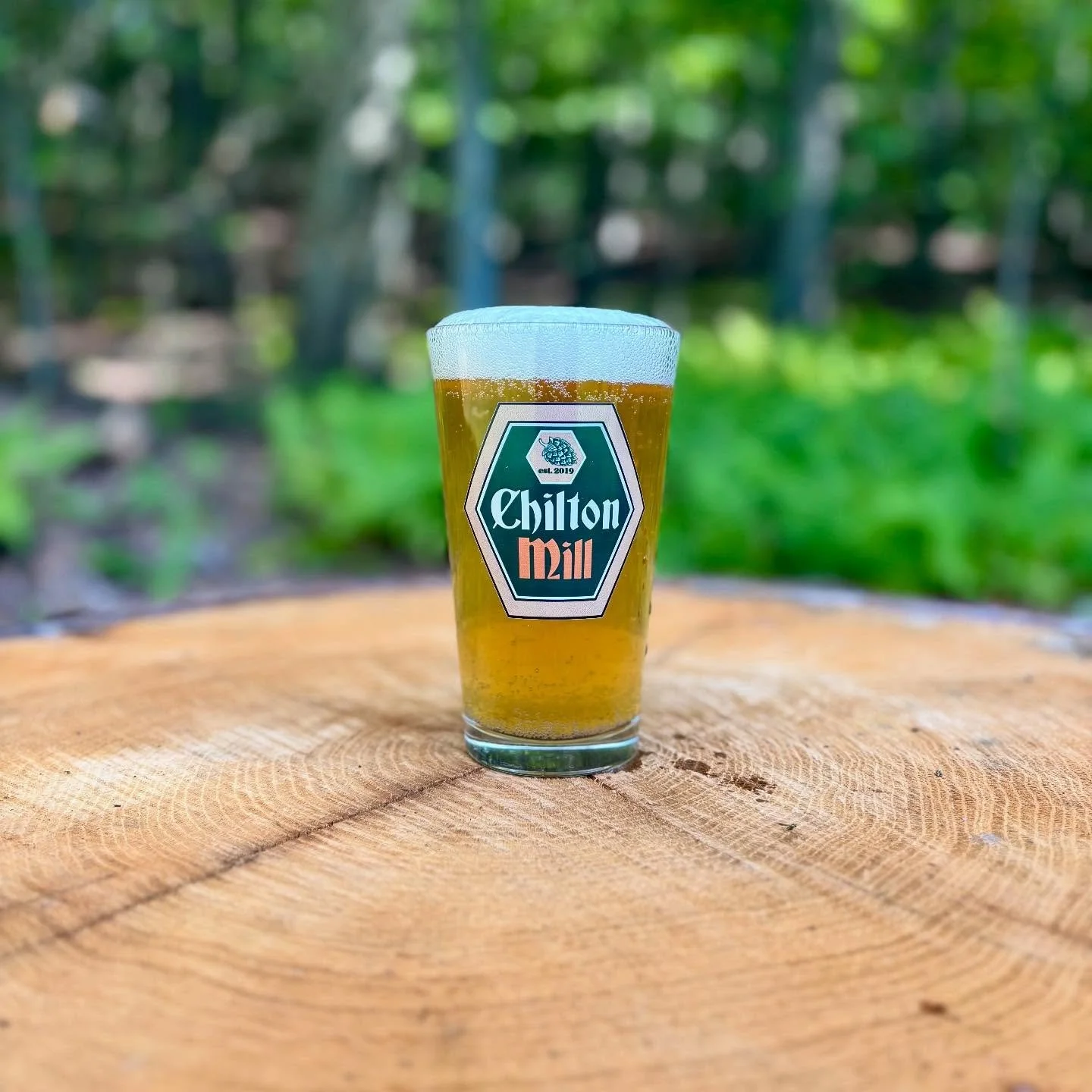 New Pilz on tap this weekend!

Nov&yacute; 11&deg; - Bohemian Pilz: 5.2% 

Crisp, clean and complex with a soft rounded bitterness. Nov&yacute; highlights the elegant floral flavors of Noble Saaz hops, alongside the subtle fruity undertones of H&uuml