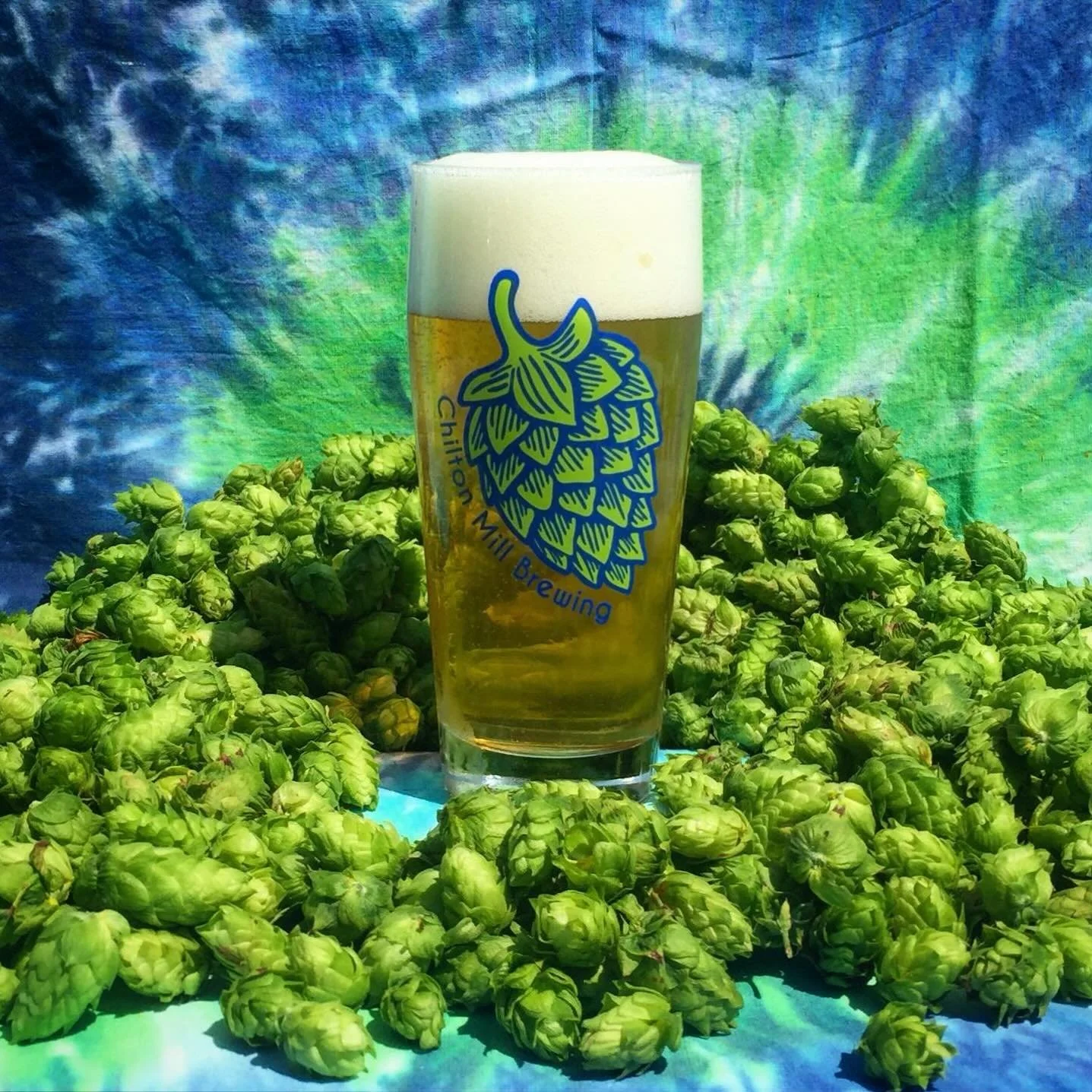 A fresh batch of G&uuml;&uuml;T is back on tap!

G&uuml;&uuml;T - German Lager: 5.9%

An emphasis on balance is achieved through the combination of German malts and noble hops. Creating a crisp, clean, refreshingly classic lager!