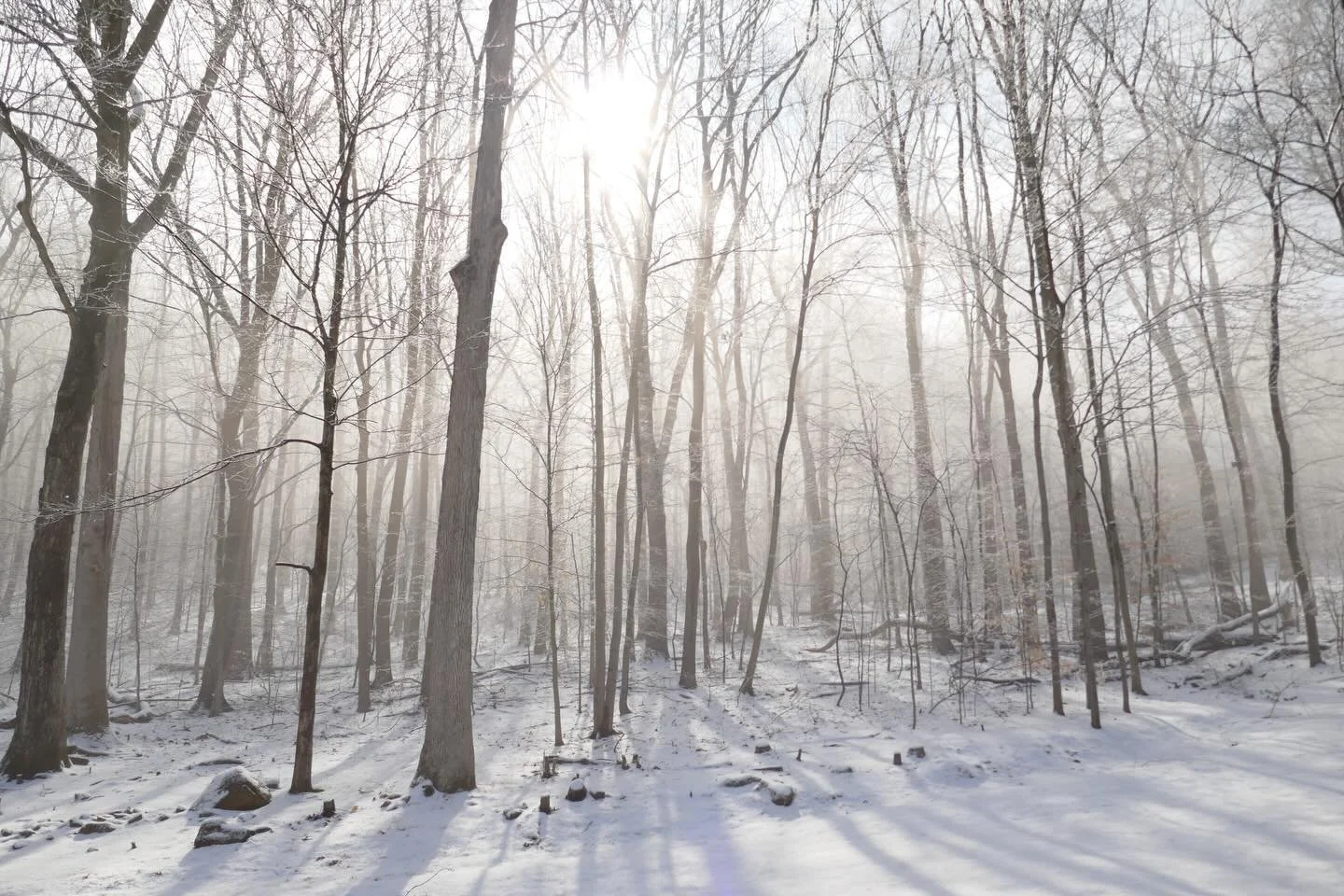 It&rsquo;s shaping up to be a white Christmas here in Long Valley! Come grab your last minute gifts, crowlers and pours today Monday 23rd: 3-8pm!