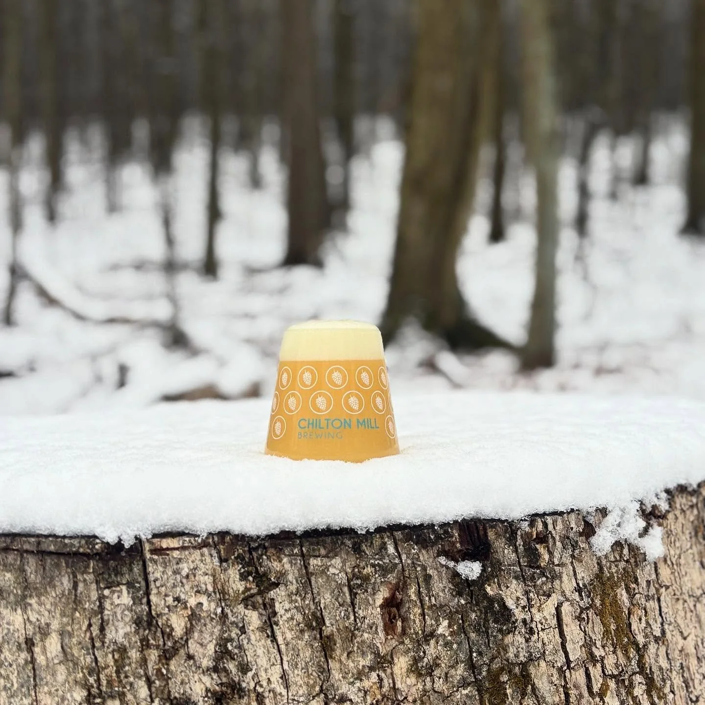 Spread some Christmas Cheer with a Holiday beer!

Holidazed - IPA: 7.2%

Double dry-hopped with New Zealand&rsquo;s finest Peacharine &amp; Nectaron. Holidazed delivers bright aromatics, saturated hop character and a smooth finish, while boasting fru