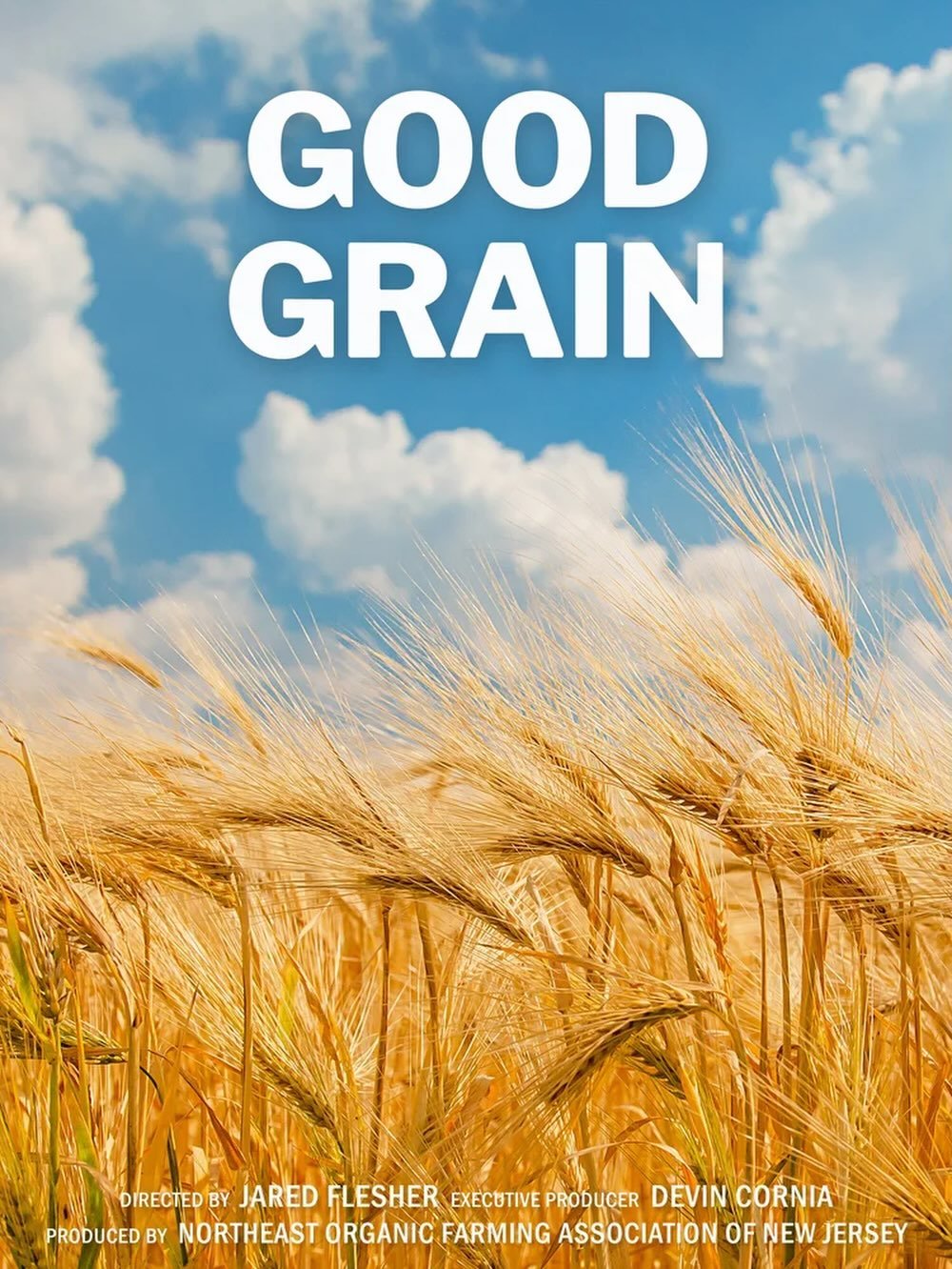Screening 🎦 

Tewksbury Public Library ✅
January 8, 2026 - 7pm - 9pm

GOOD GRAIN 🌾 

Imagine: Next door lives a hardworking organic farmer. Each summer you watch majestic fields of wheat mature from green to gold. And then the harvest.

At a new st