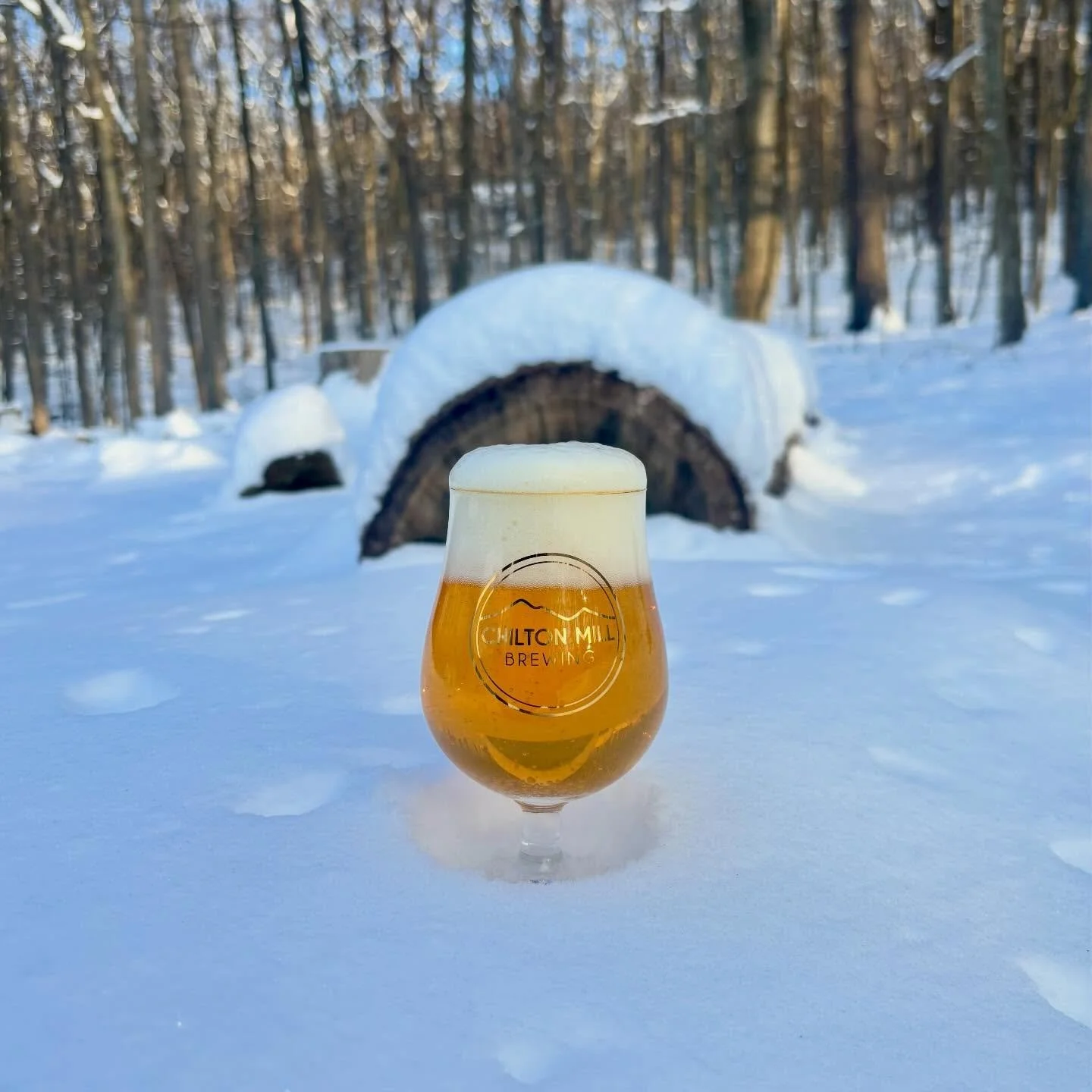 This New Belgian Beer is perfect for all your snow day endeavors!

Aurum - Belgian Golden Strong Ale: 9.3%

Effervescent and deceptively crisp, this Belgian Golden Strong Ale showcases layered fruity esters, subtle warmth and an elegant noble hop fin