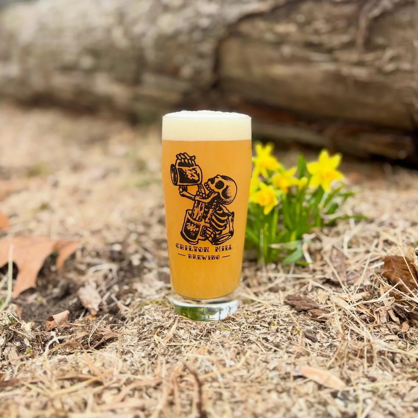 You asked and we listened! We just got a fresh batch of Skelly Willi Becher Glasses in For Sale in the taproom! The perfect pint for crushin&rsquo; beers as we roll into Spring!
