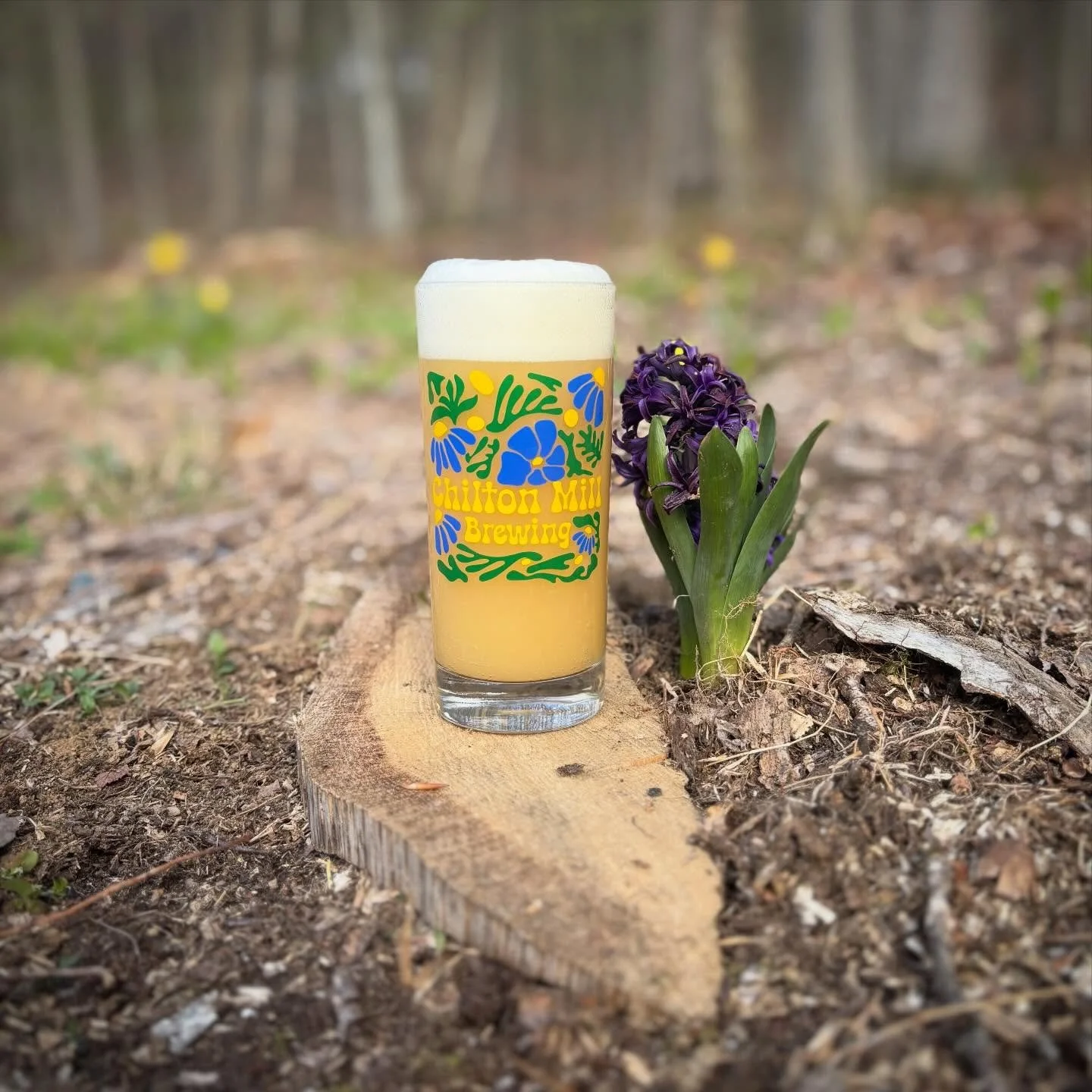 Spring is in full effect and to celebrate all of the new growth we&rsquo;ve got a bunch of new beers hitting taps this weekend! First up&hellip;

Daddy&rsquo;s Home - IPA: 7.5%

Mike&rsquo;s back in the brewhouse and bringin&rsquo; the haze! Citra, M