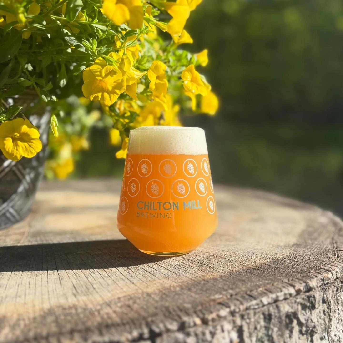 Sliding on tap last week, is this new juicy gem&hellip;

RIFT - IPA: 7.2% 

Loaded with Citra, Peacharine &amp; Cryo Krush. Rift opens with waves of ripe peach, nectarine and tropical fruit, while a bright citrus backbone lifts it up! Finishing soft,
