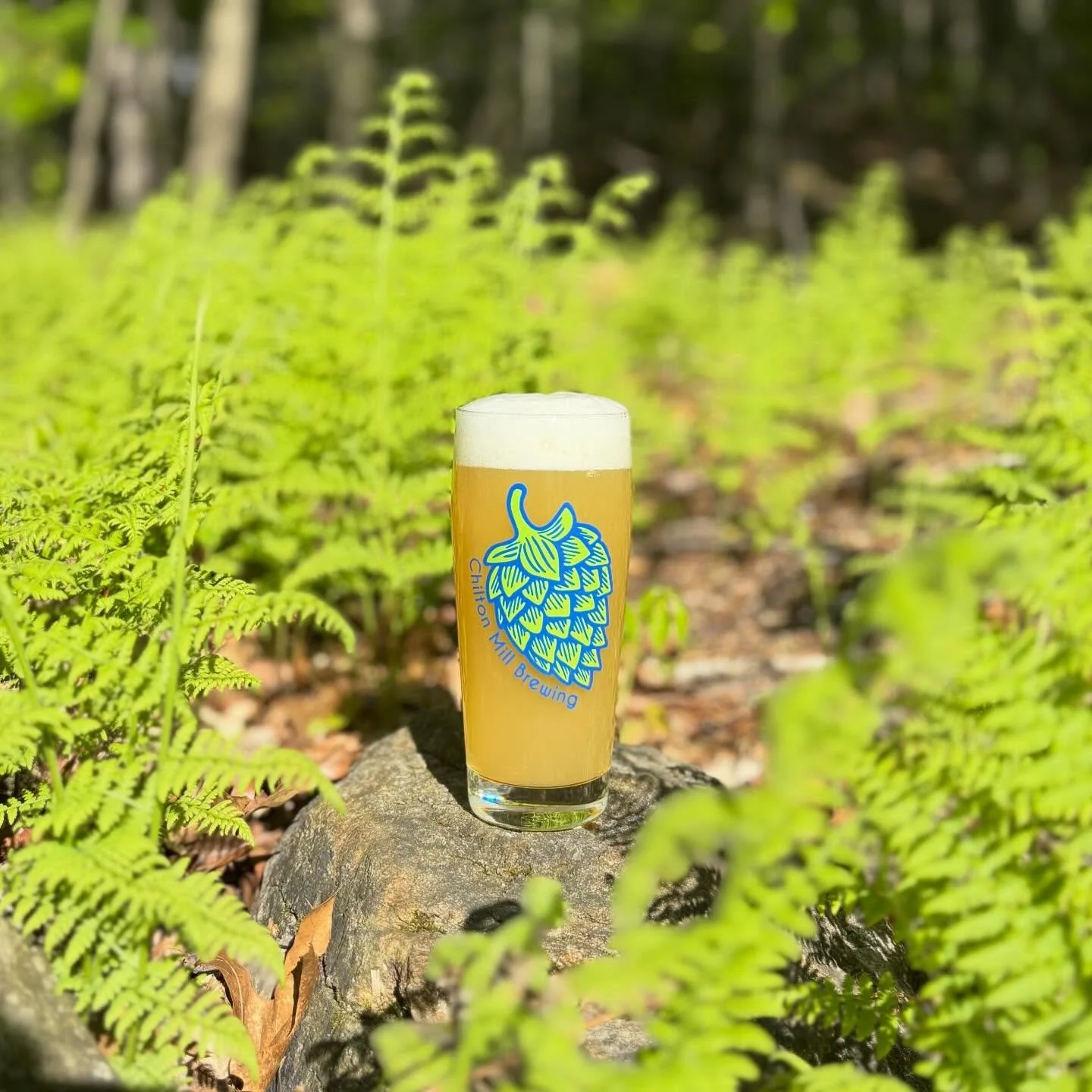 It&rsquo;s a perfect day for this CMB classic to return!

Patio Pale - Hazy Pale Ale: 5.8% 

Heavily dry hopped with Citra, Rakau &amp; Motueka; bursting with notes of citrus and mango! Refreshing and aromatic, with a subtle sweetness!

*Stay tuned f