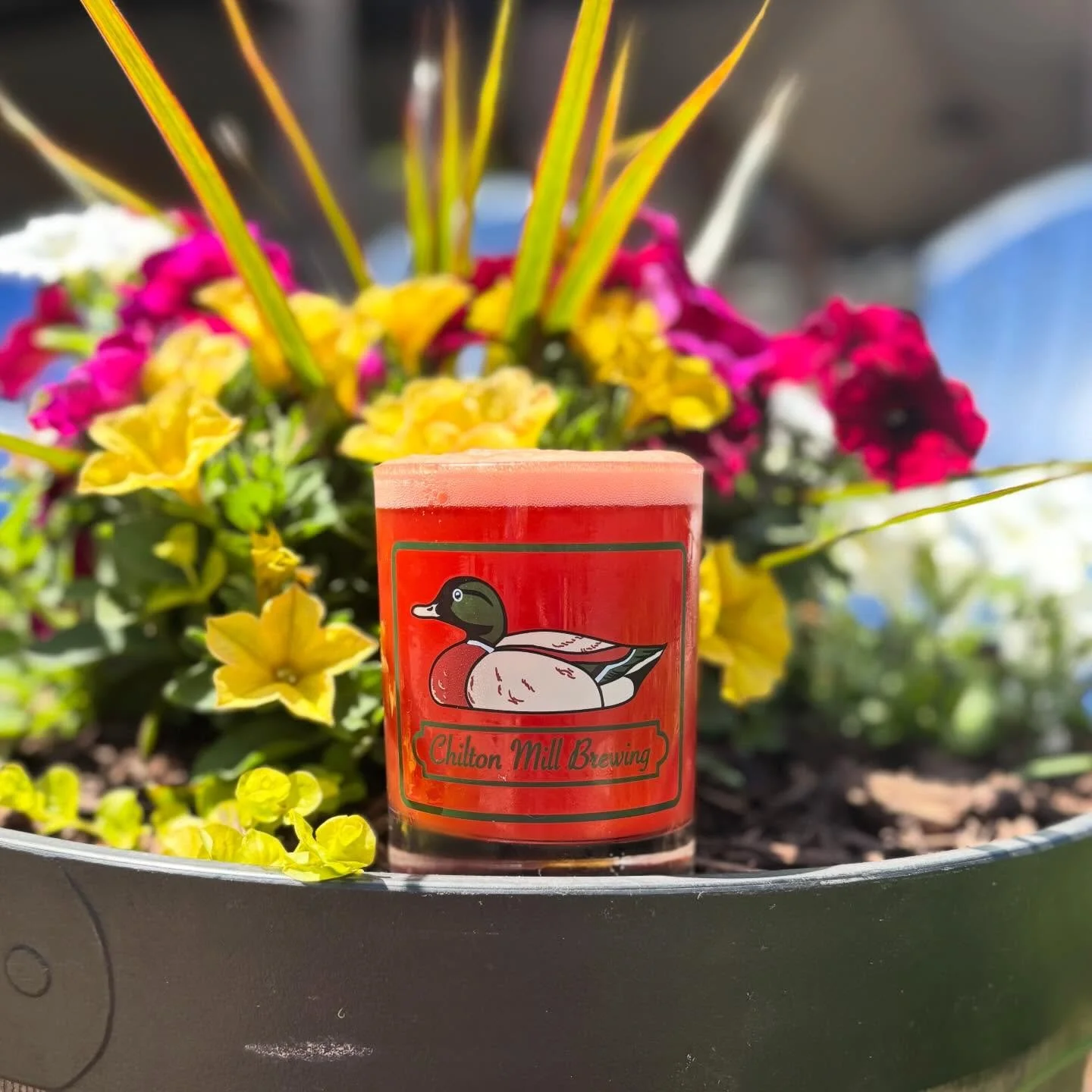 As we start Day #2 of Anniversary, we&rsquo;re kicking it off with a new fruity addition&hellip;

Berry wave - Fruit Tart Ale: 7%

Sweet ripe strawberries and juicy apricots combine to deliver fresh fruit-forward flavors with a subtle acidity. Creati