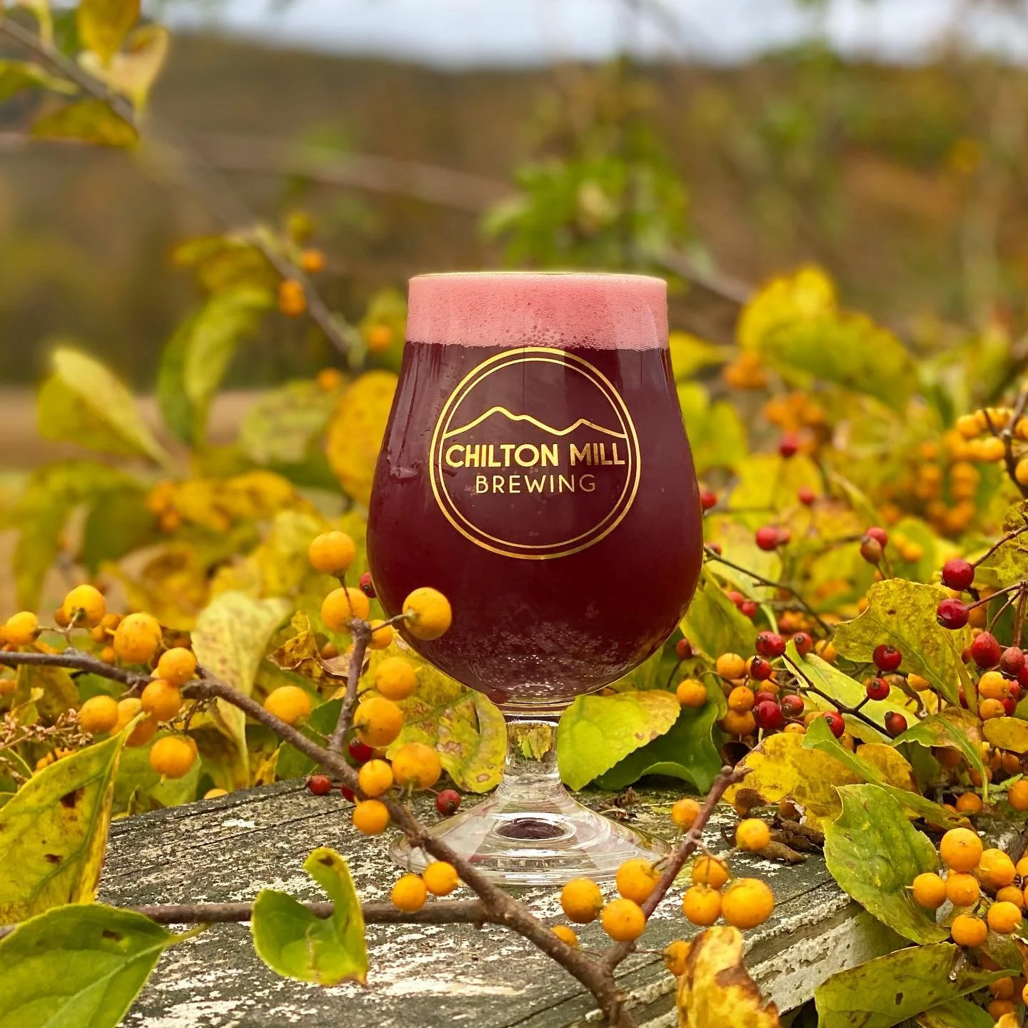 Gallery — Chilton Mill Brewing