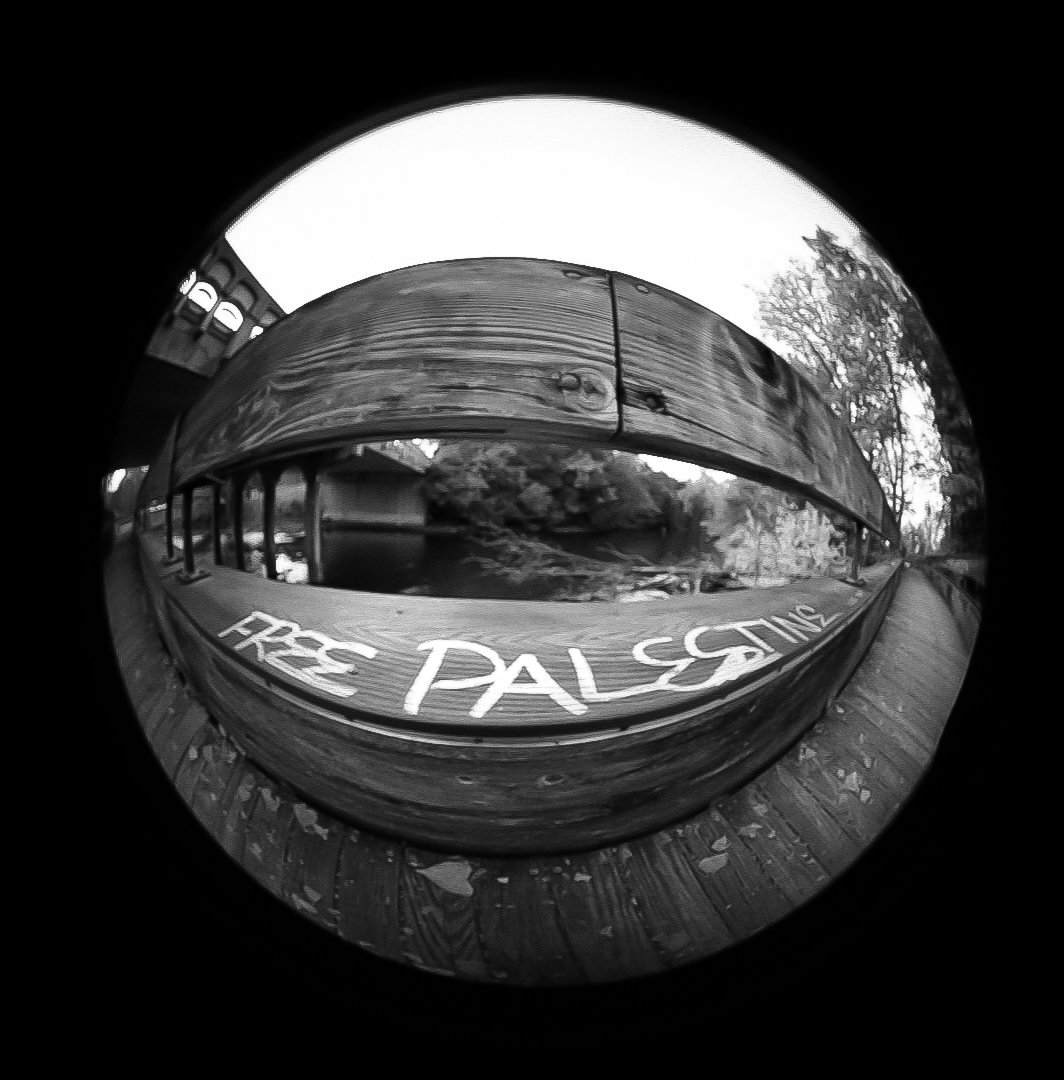 DSC09822 (1)(2)2.jpg